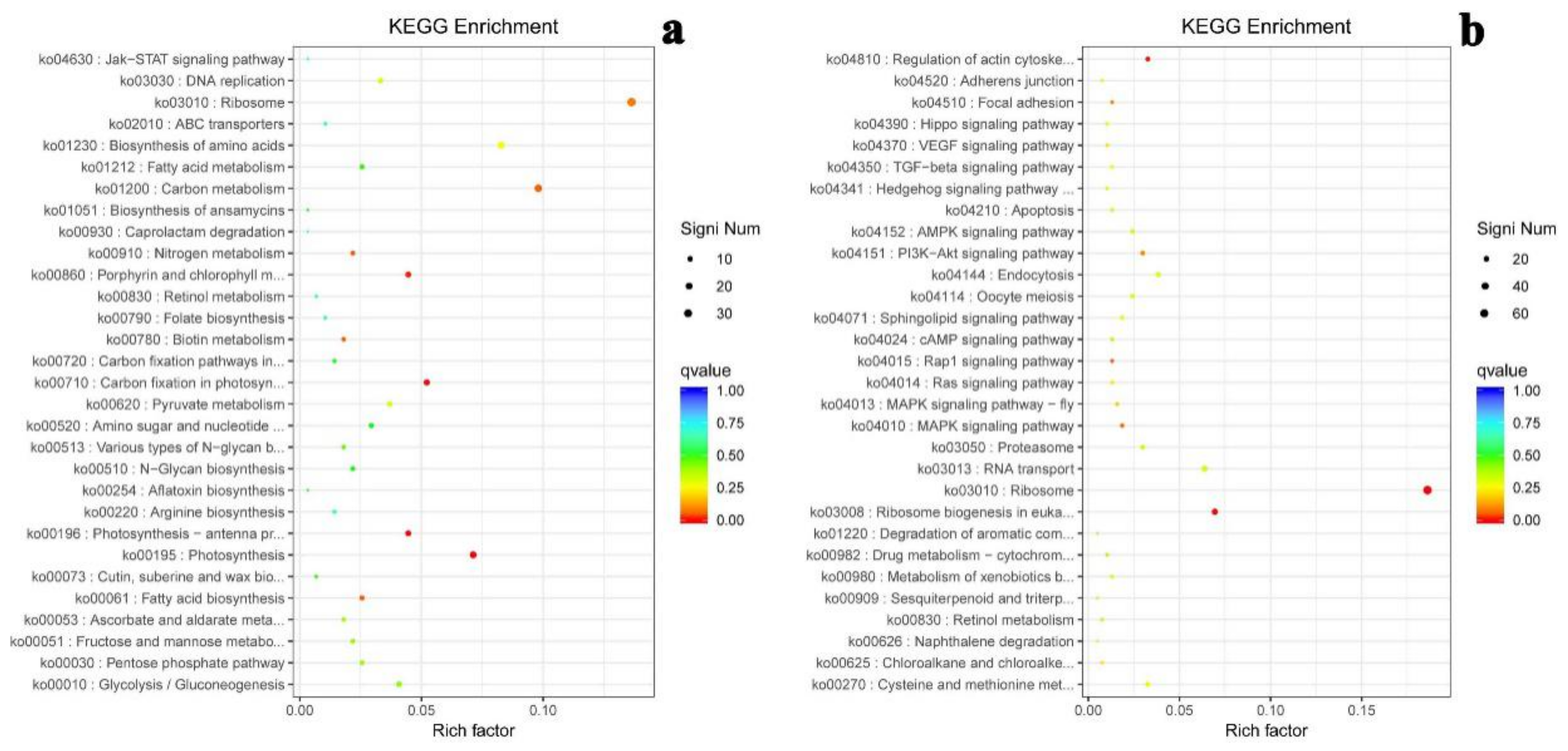 Ijms 22 01304 g008 Ijms 22 01304 g008