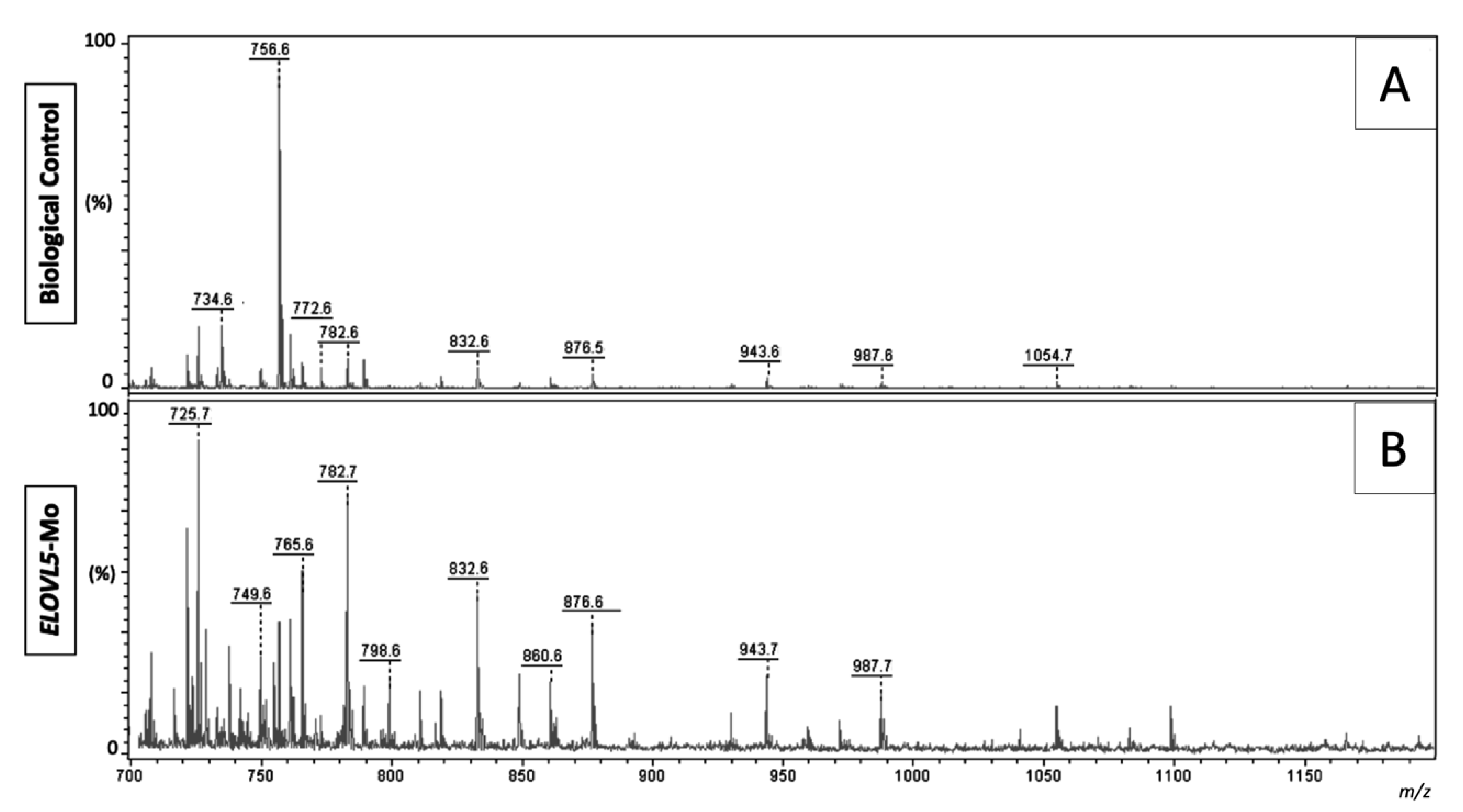 Ijms 22 01311 g004 Ijms 22 01311 g004