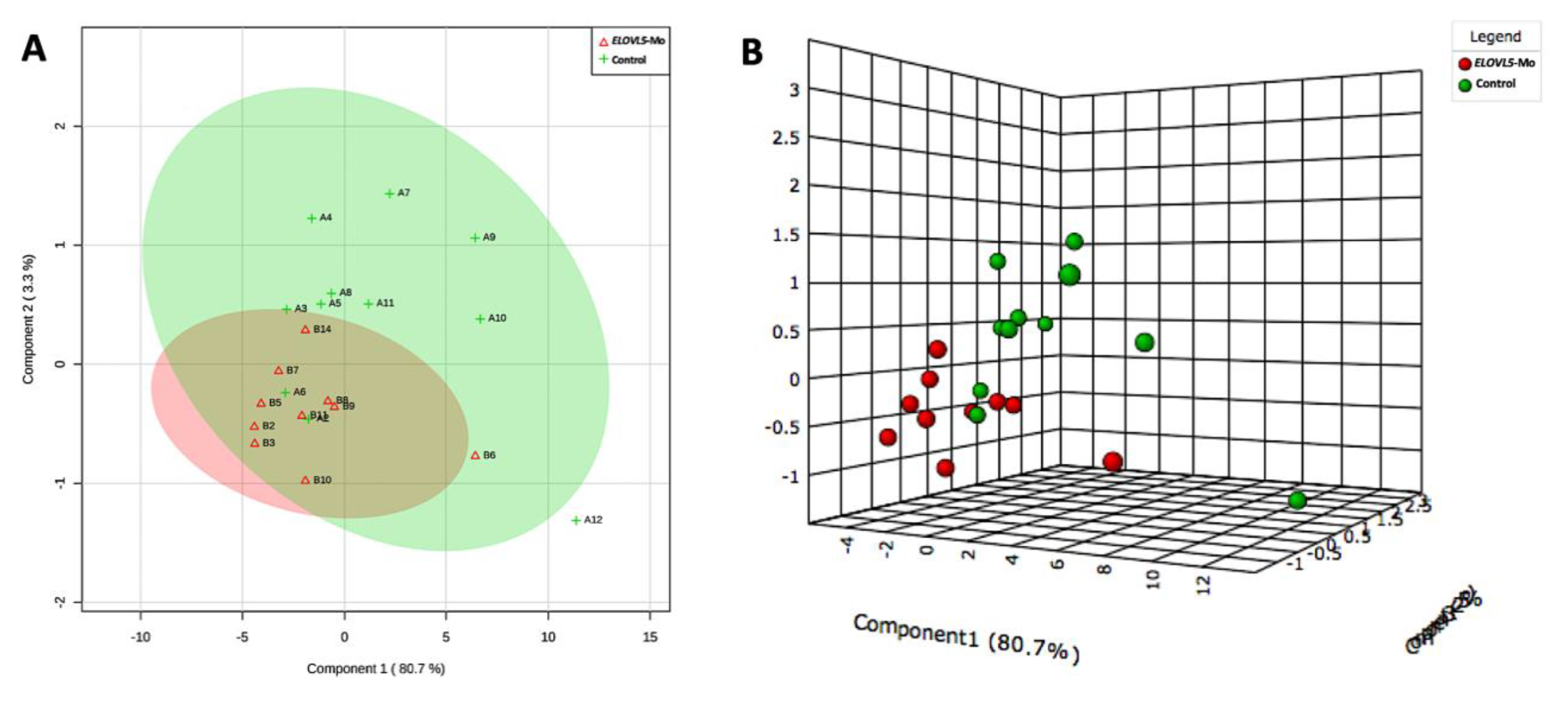 Ijms 22 01311 g005 Ijms 22 01311 g005