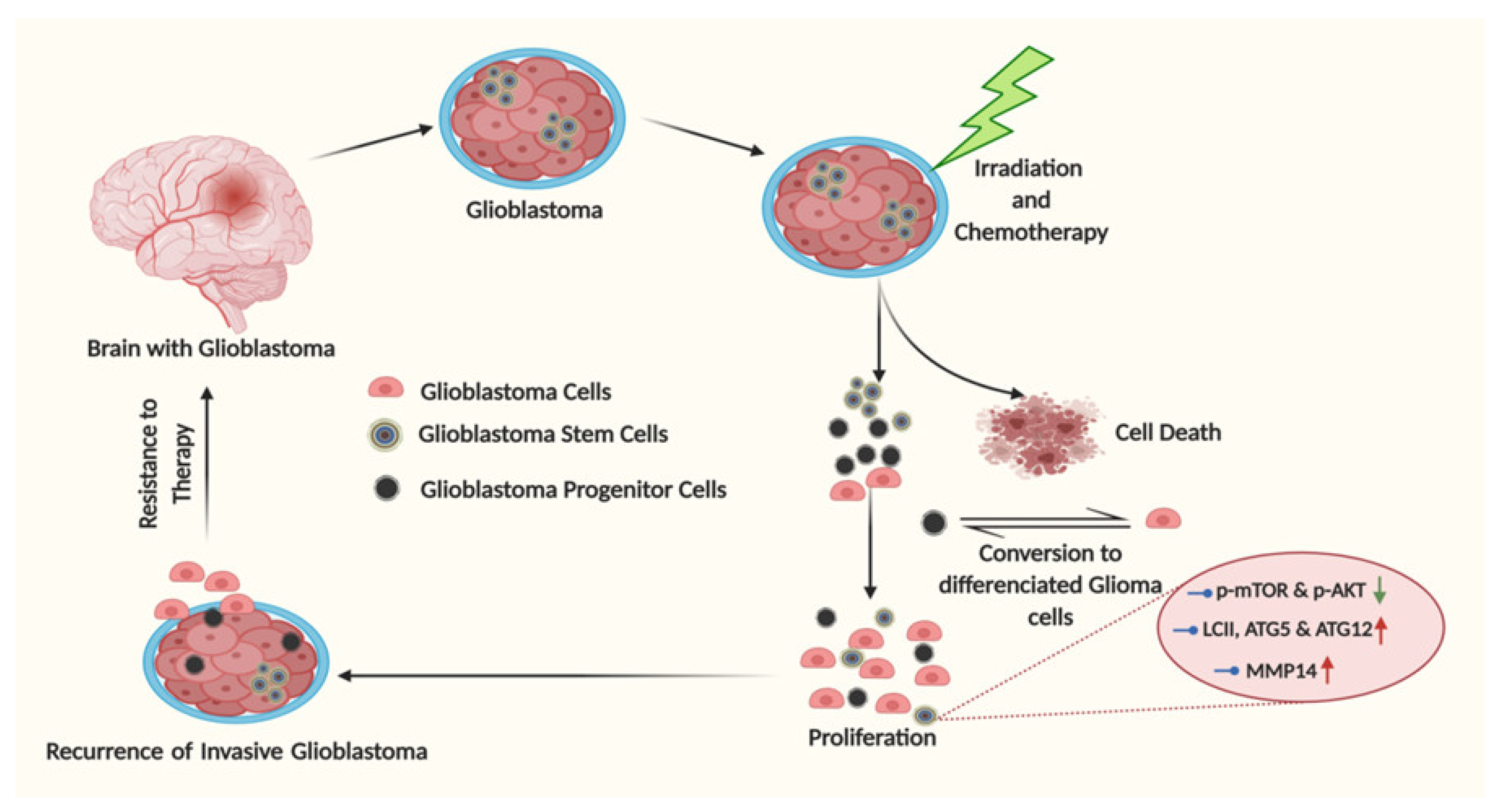 Ijms 22 01318 g004 Ijms 22 01318 g004