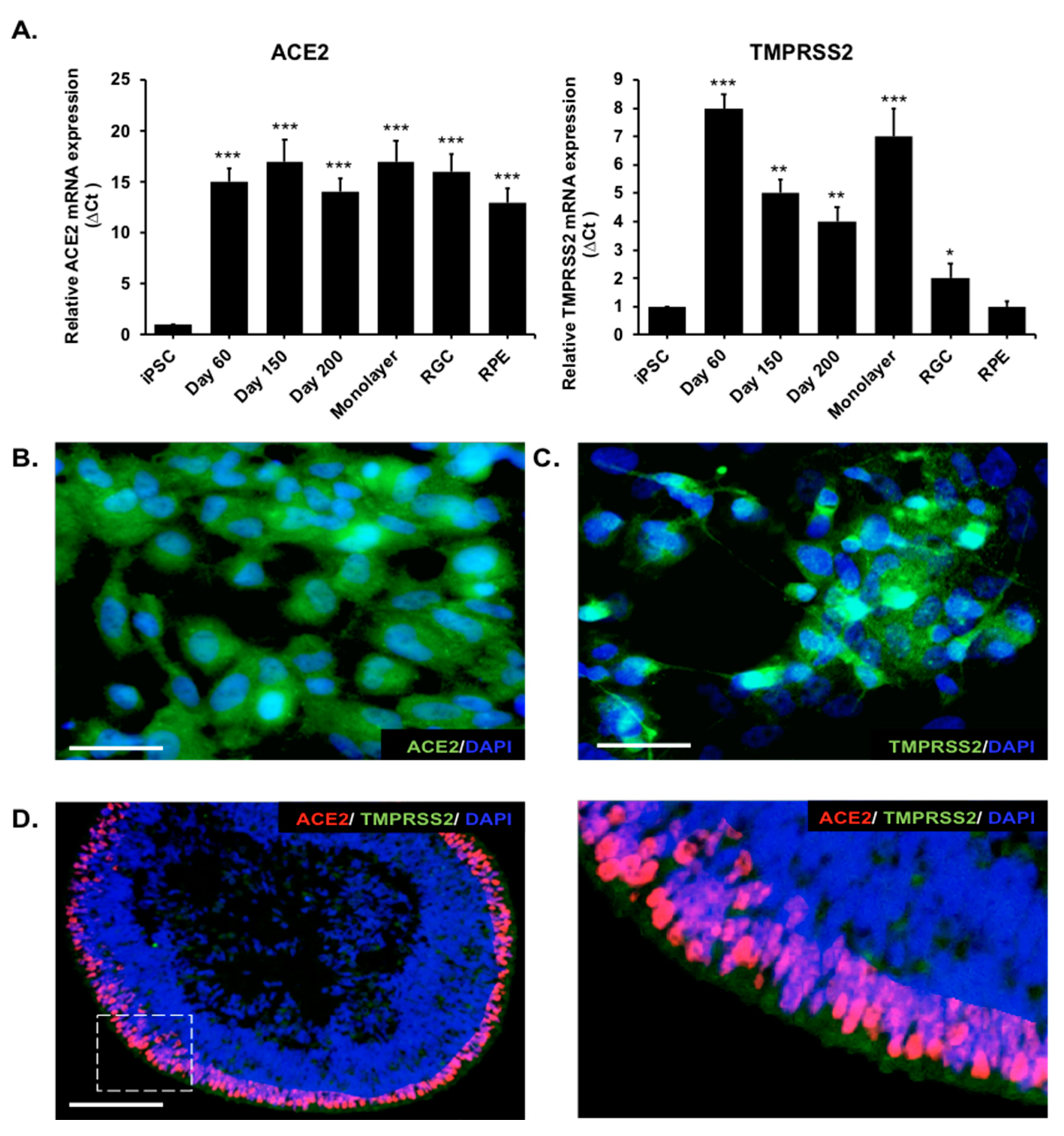 Ijms 22 01320 g002 Ijms 22 01320 g002