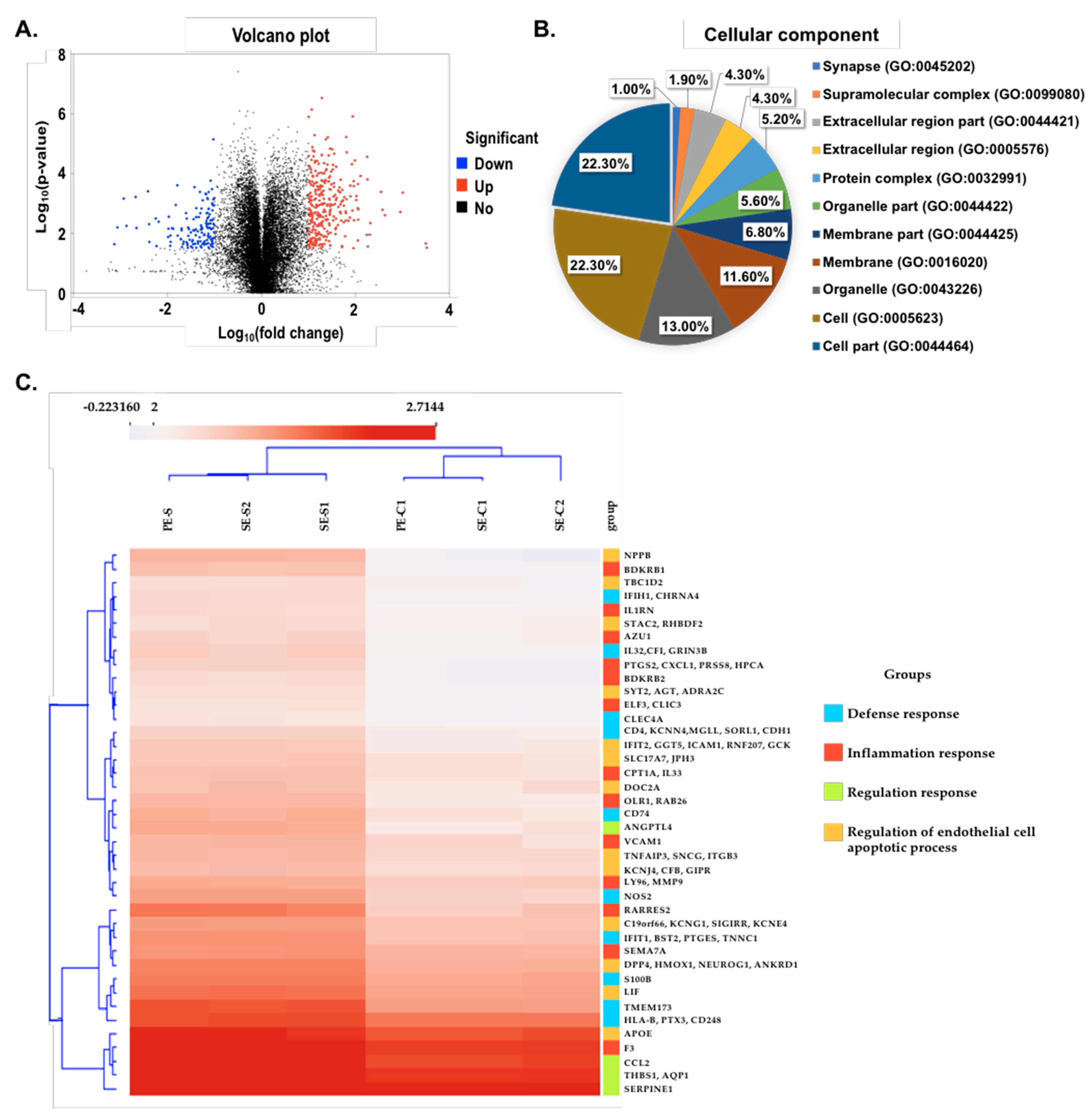 Ijms 22 01320 g004 Ijms 22 01320 g004