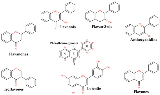 glucoside de l'écorce de saule 10 lettres