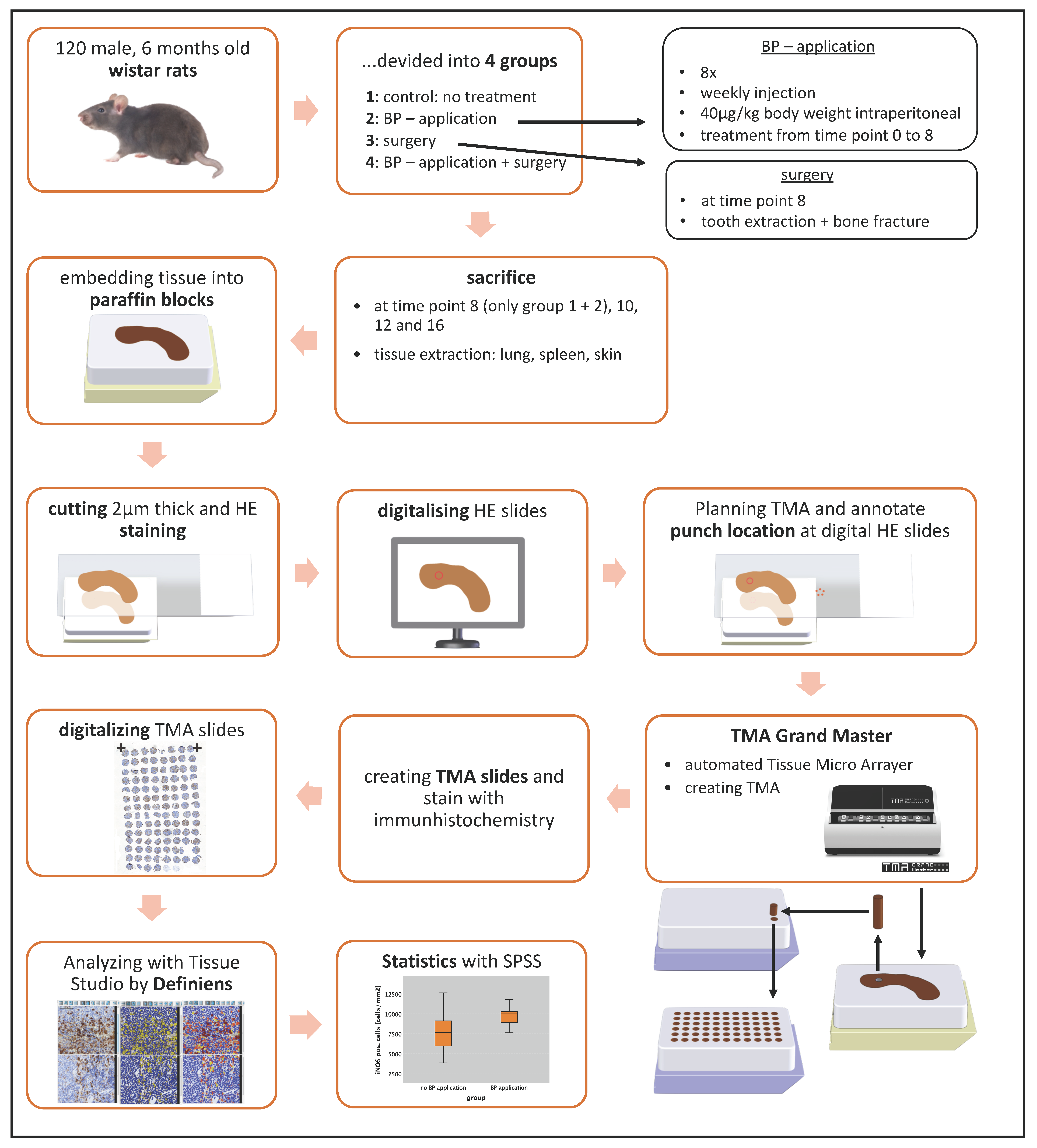 Ijms 22 01323 g004 Ijms 22 01323 g004