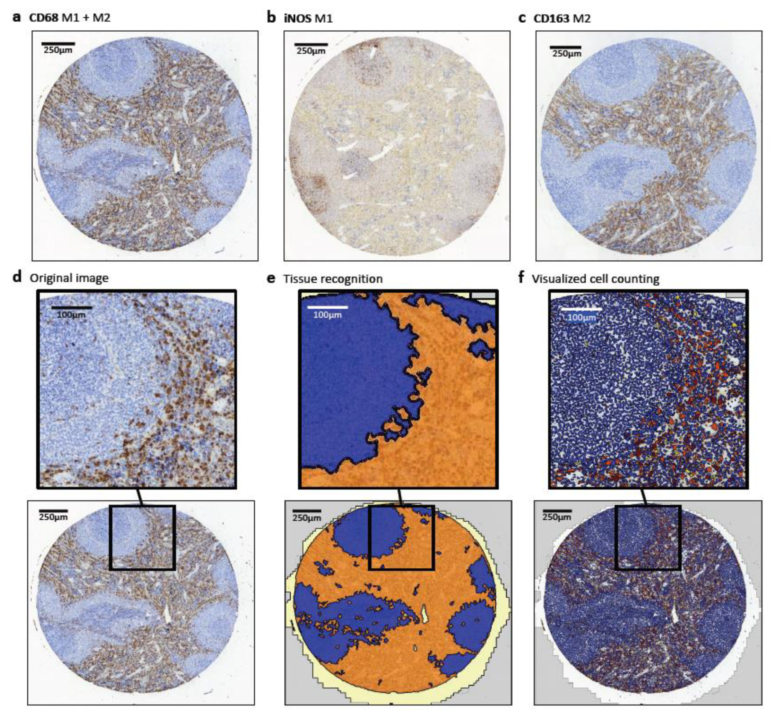 Ijms 22 01323 g005 Ijms 22 01323 g005