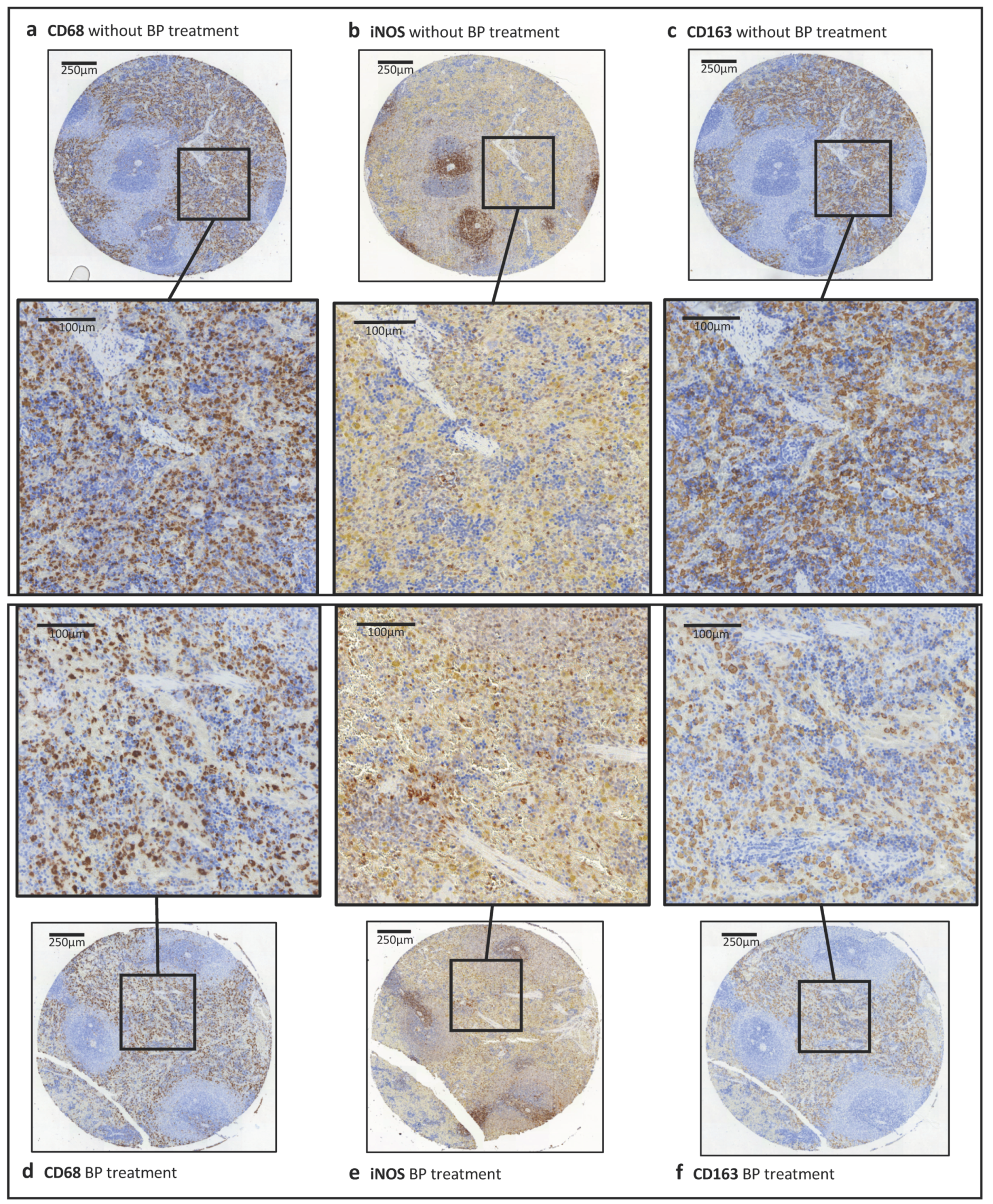 Ijms 22 01323 g006 Ijms 22 01323 g006