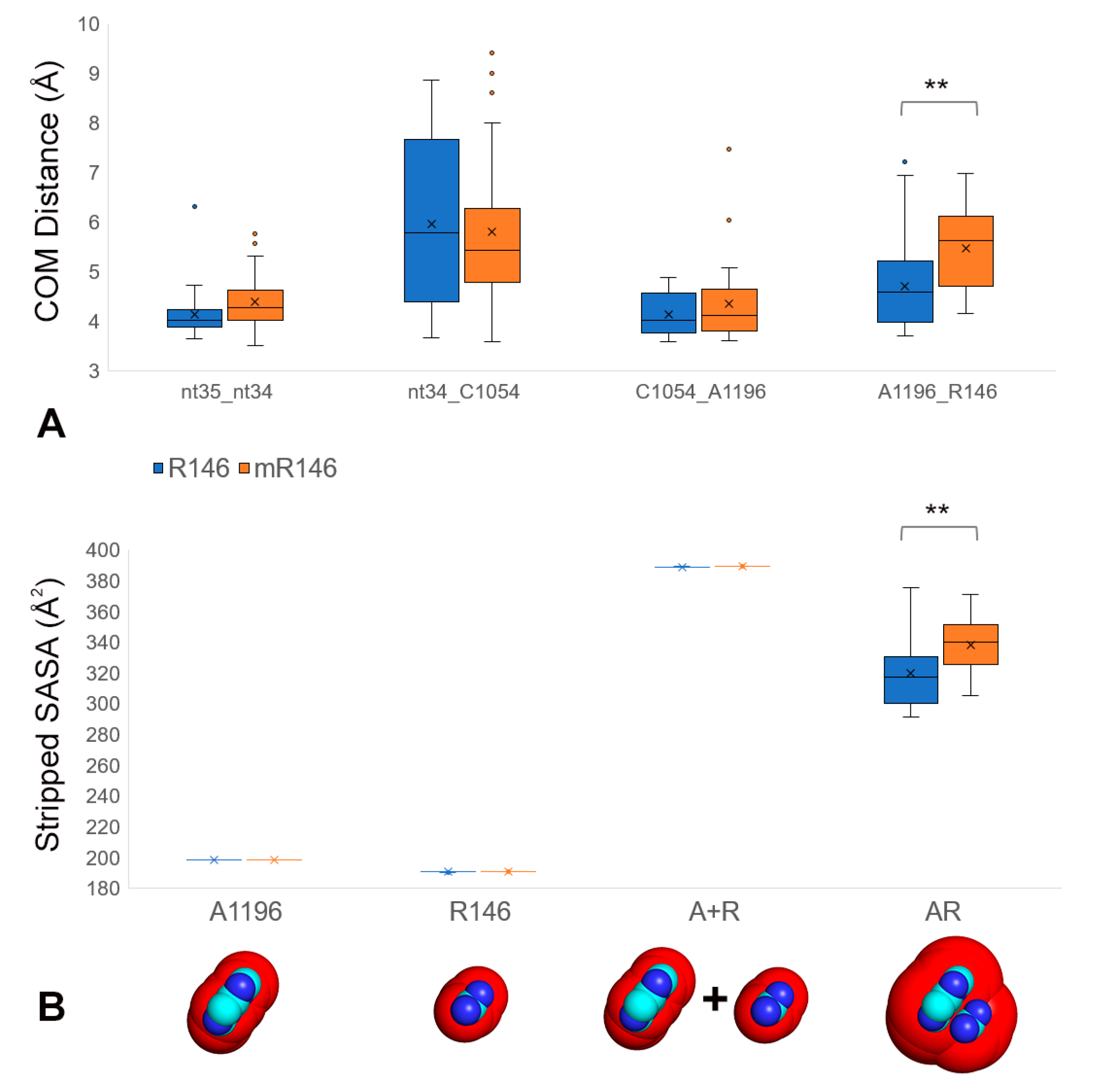 Ijms 22 01335 g003 Ijms 22 01335 g003