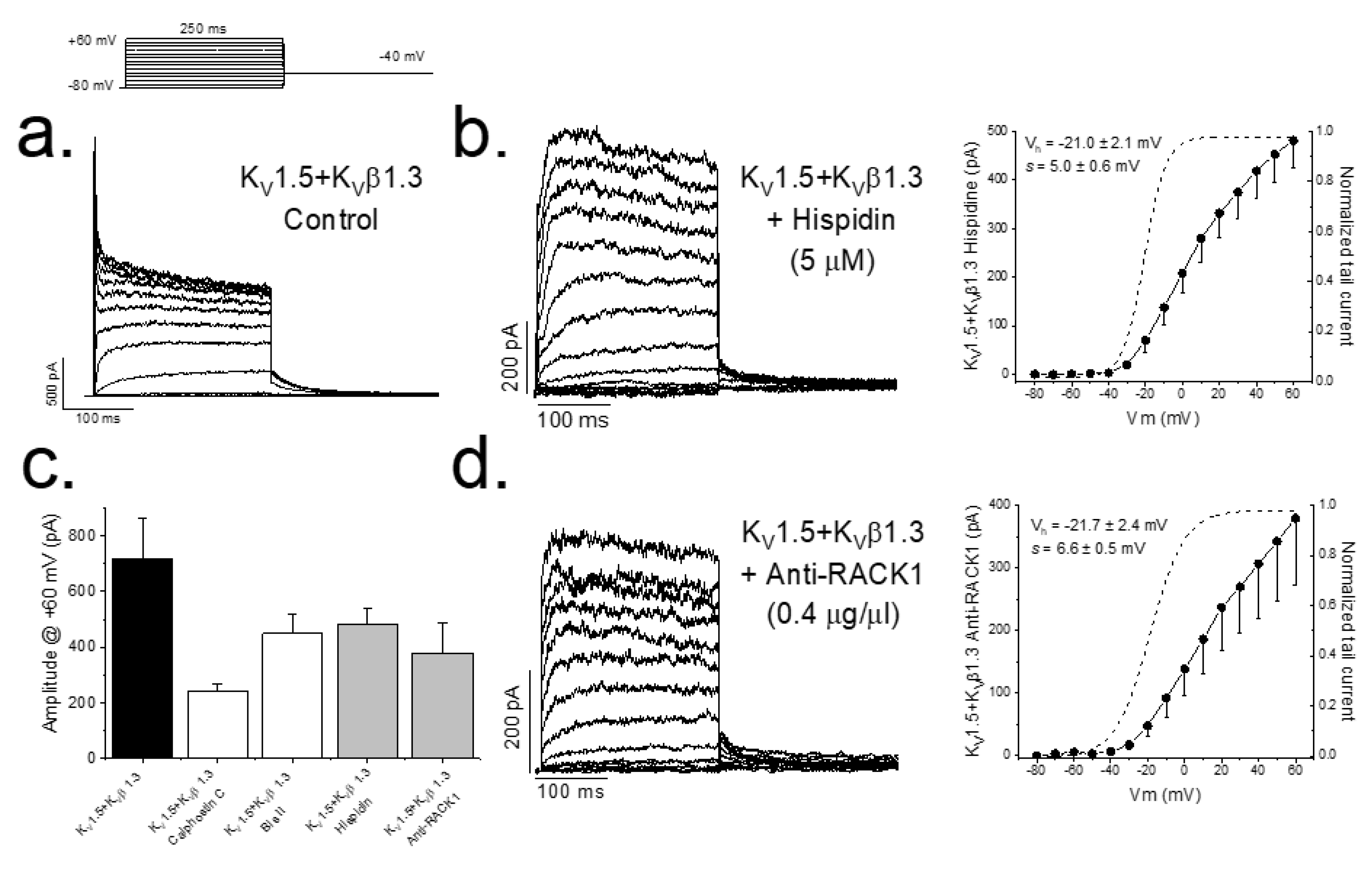 Ijms 22 01336 g001 Ijms 22 01336 g001