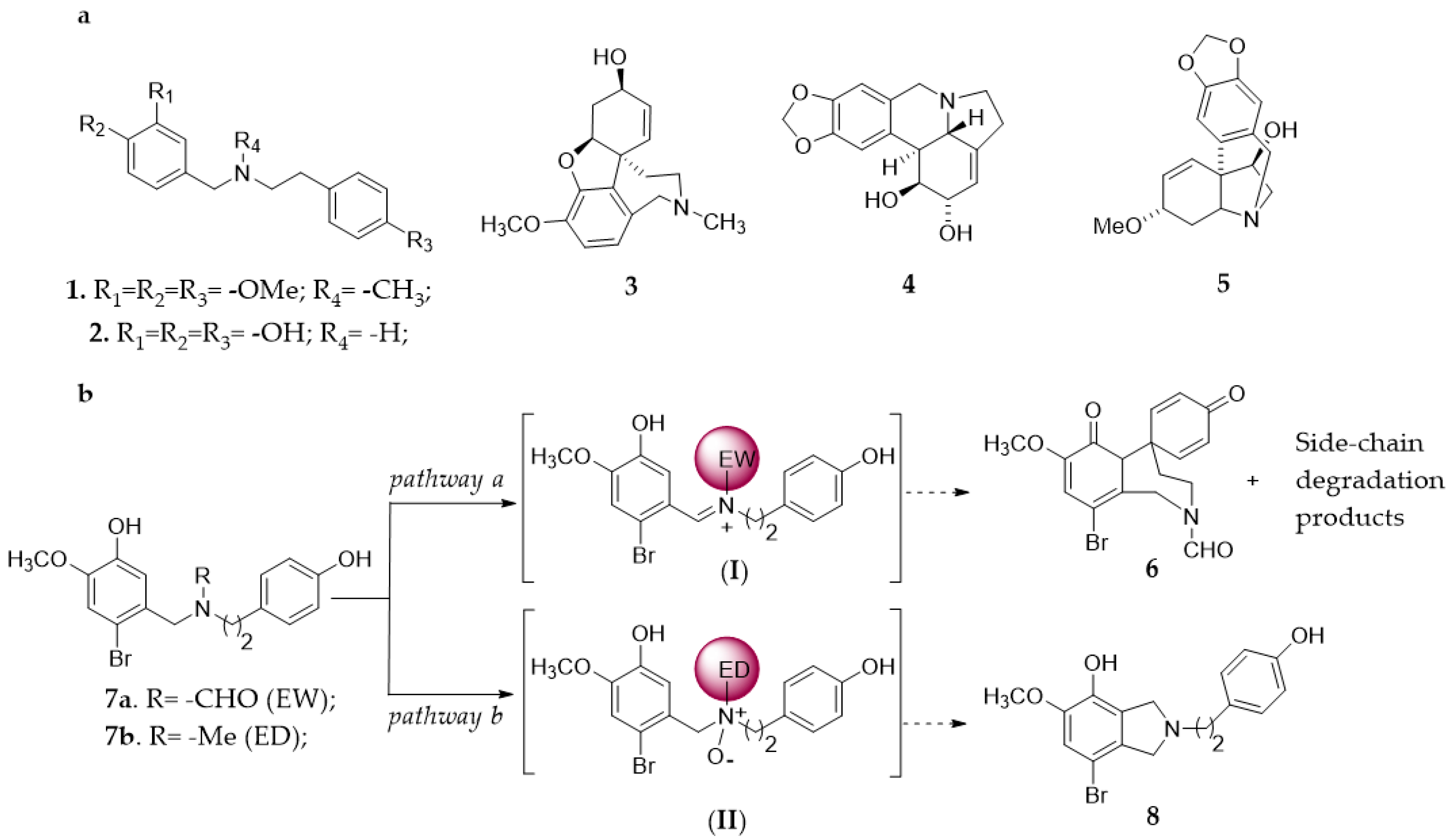 Ijms 22 01337 g001 Ijms 22 01337 g001