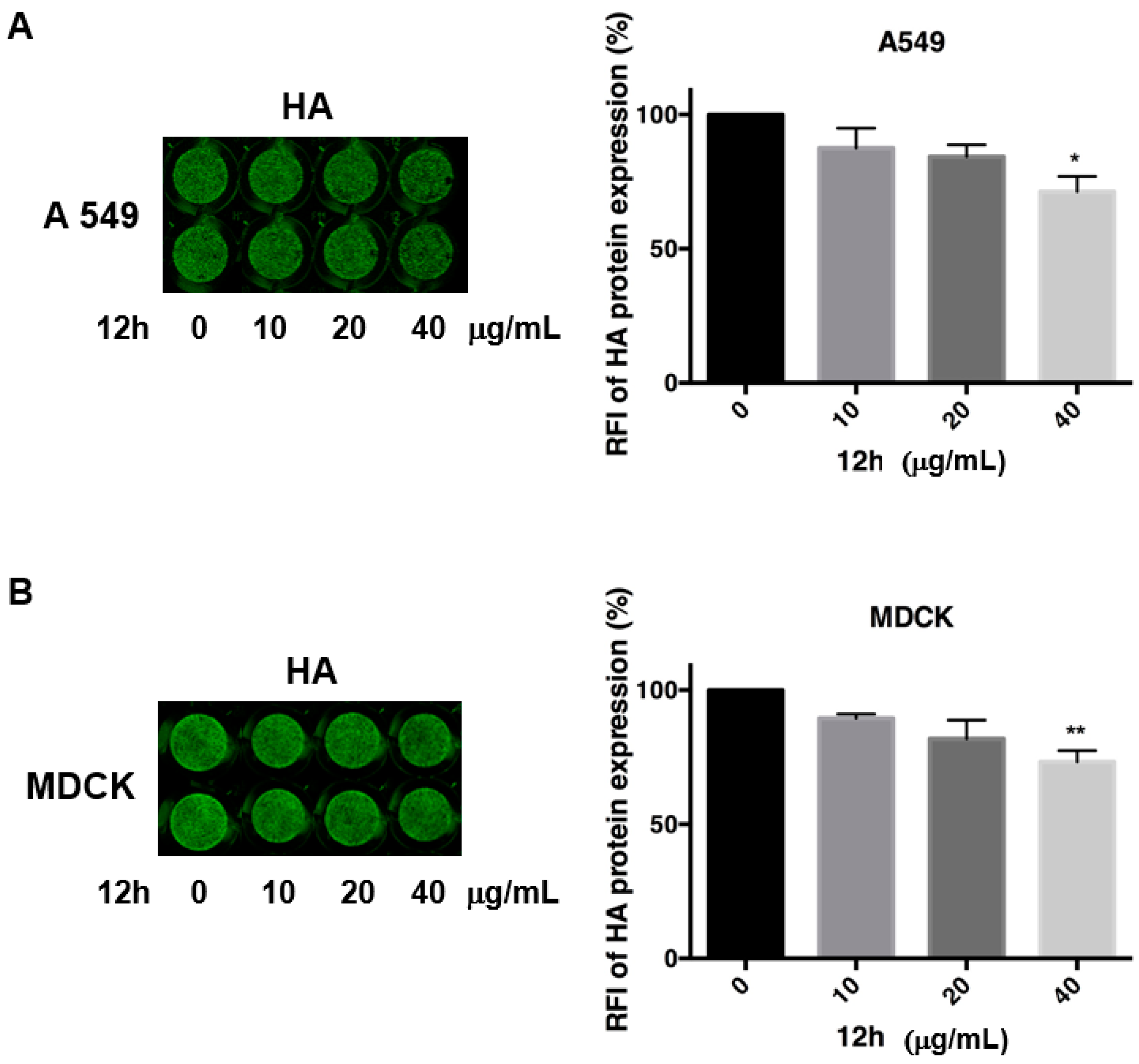 Ijms 22 01337 g005 Ijms 22 01337 g005