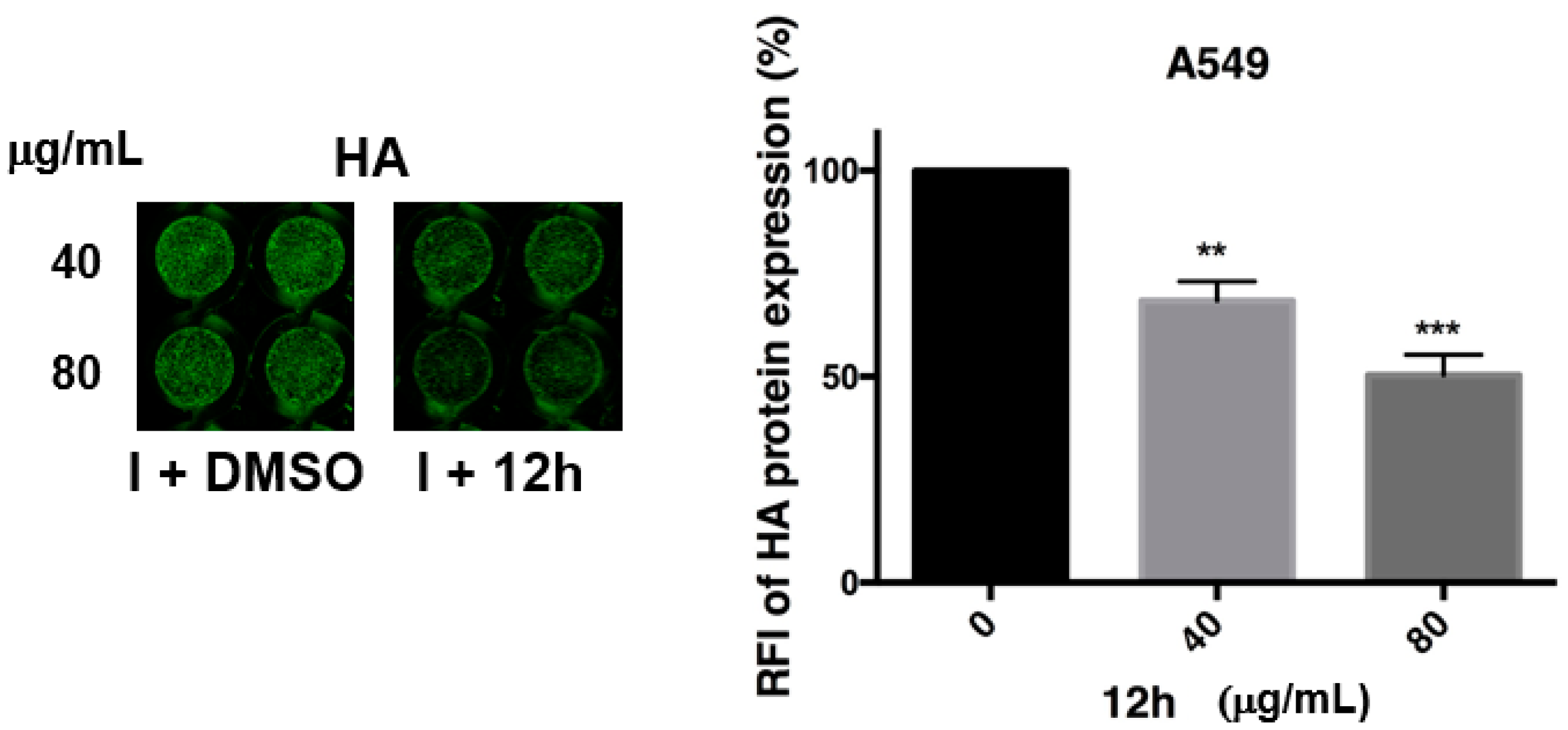 Ijms 22 01337 g006 Ijms 22 01337 g006