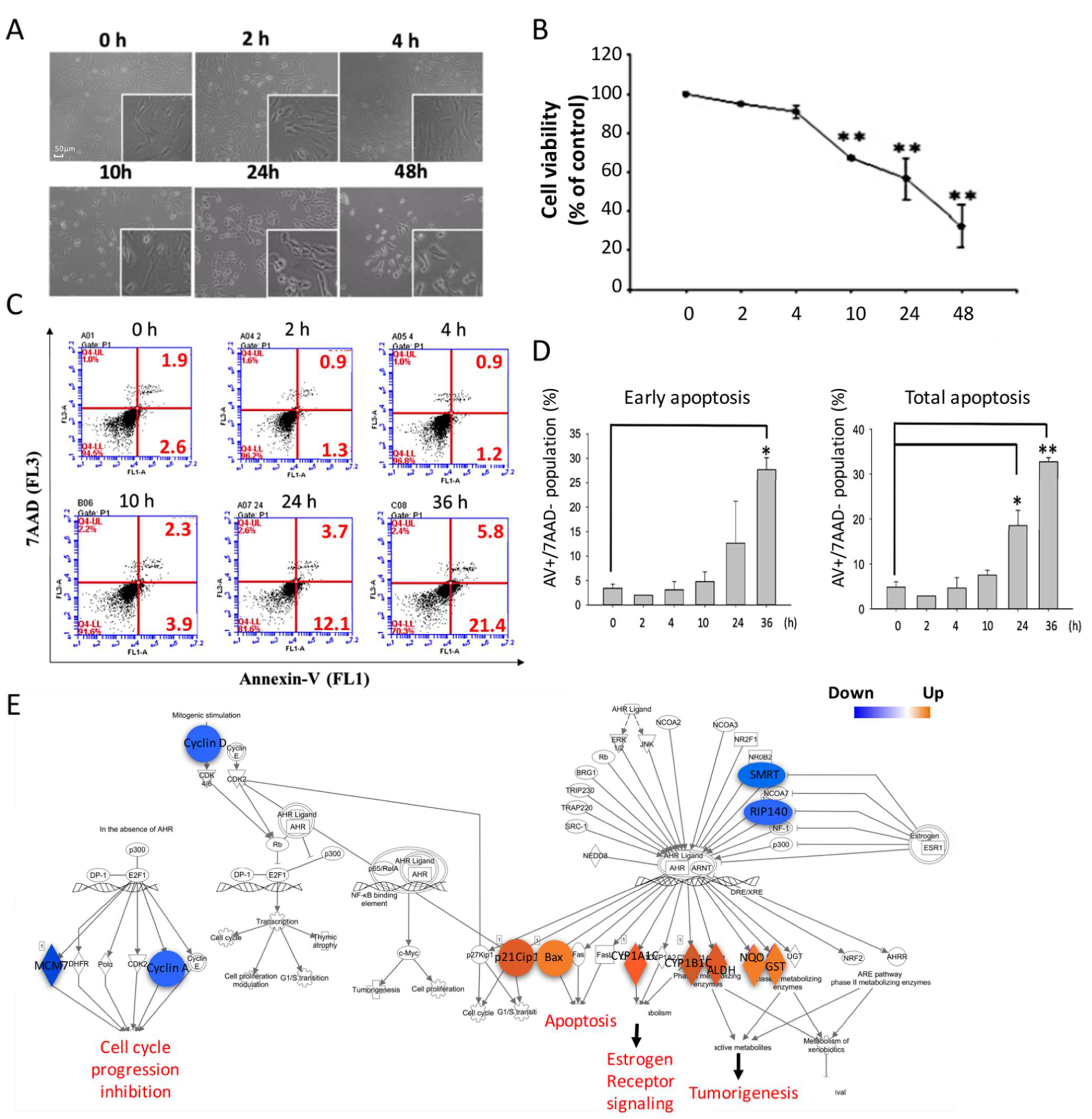 Ijms 22 01338 g001 Ijms 22 01338 g001