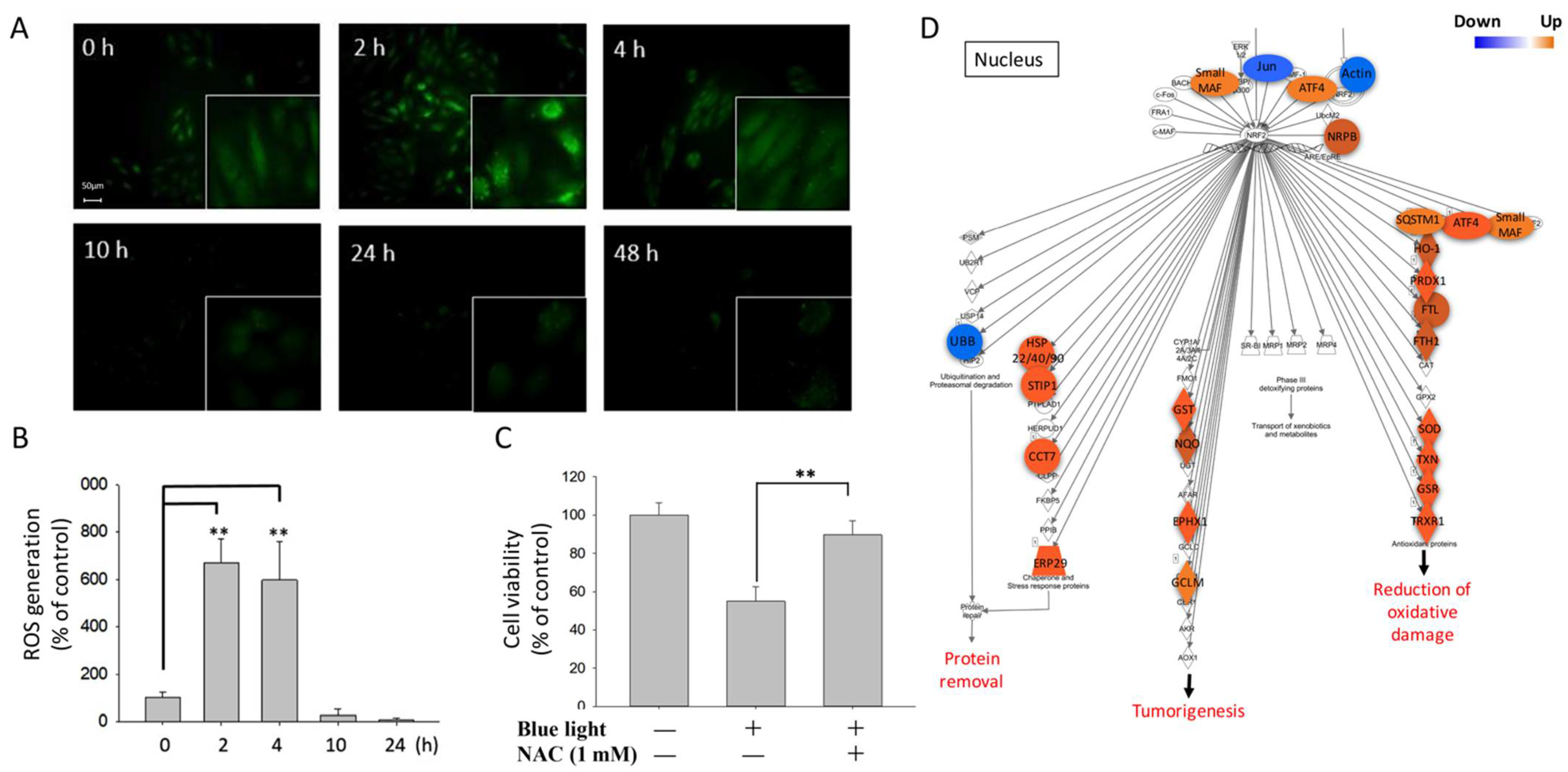 Ijms 22 01338 g002 Ijms 22 01338 g002