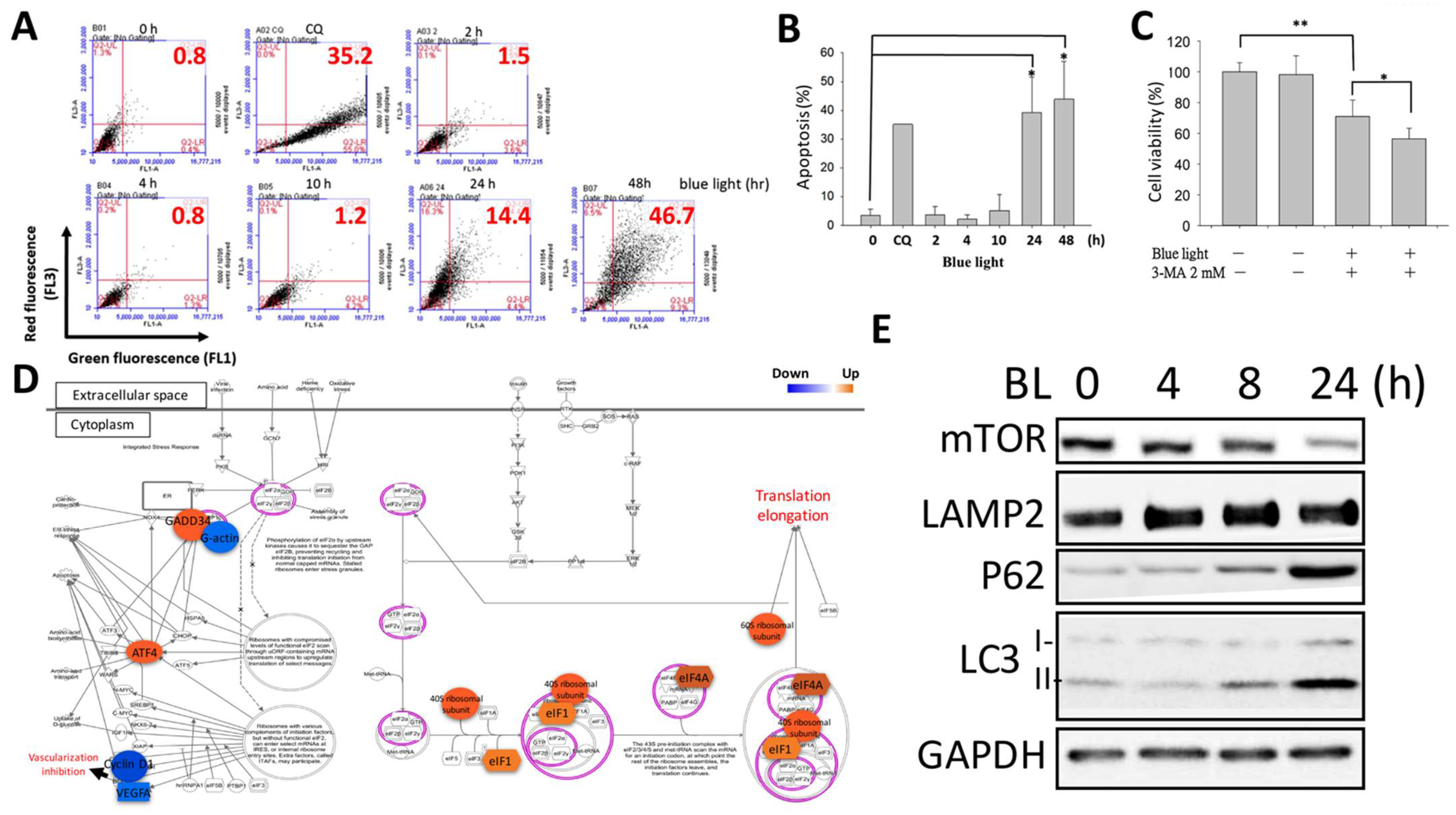 Ijms 22 01338 g004 Ijms 22 01338 g004