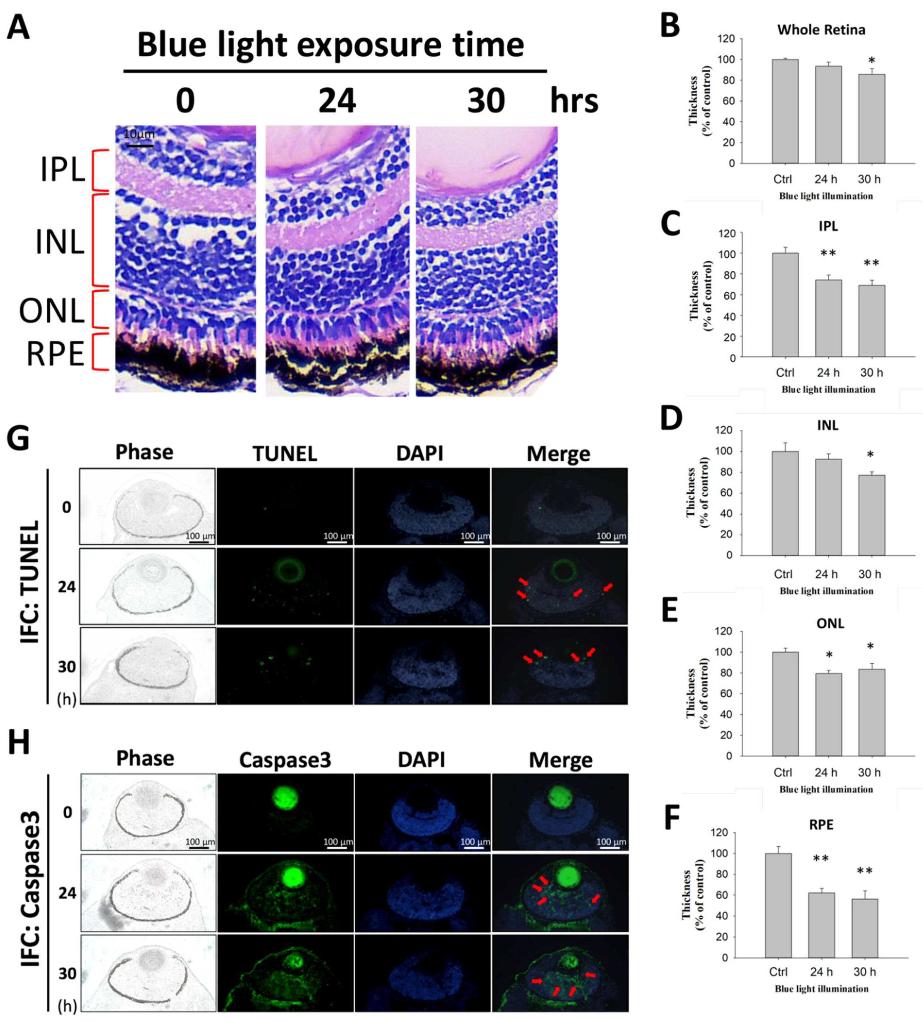 Ijms 22 01338 g005 Ijms 22 01338 g005
