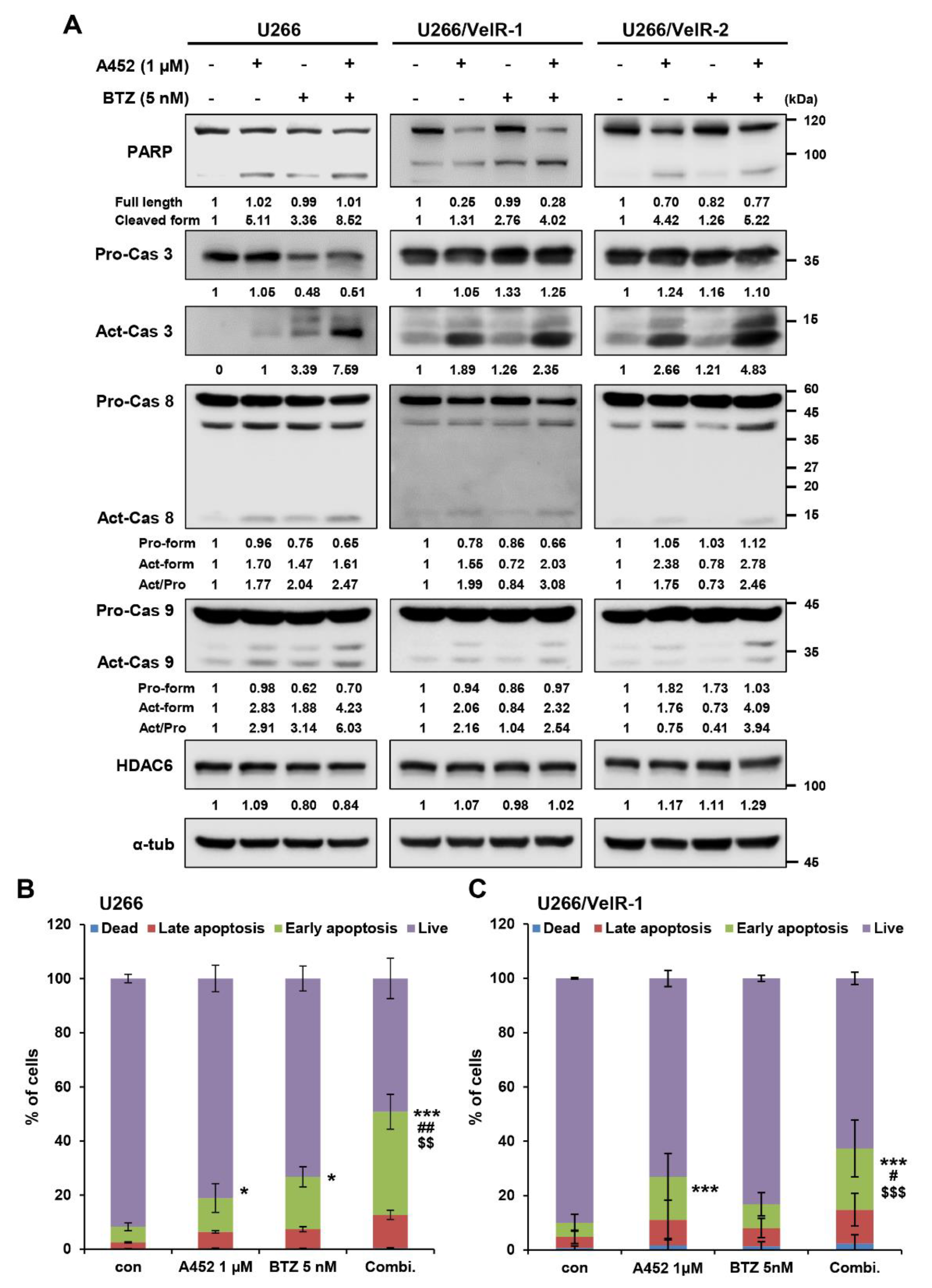 Ijms 22 01341 g004 Ijms 22 01341 g004