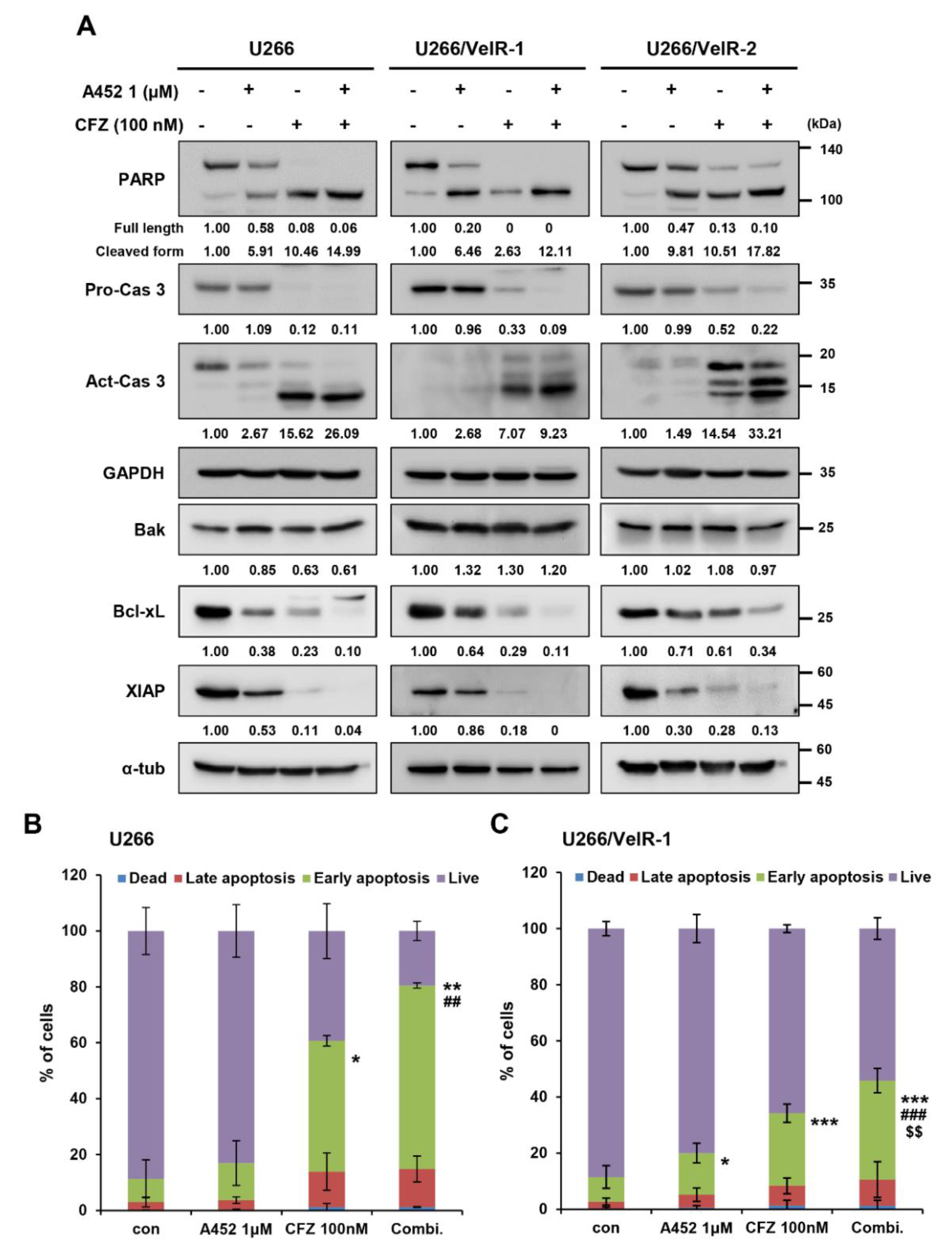 Ijms 22 01341 g005 Ijms 22 01341 g005