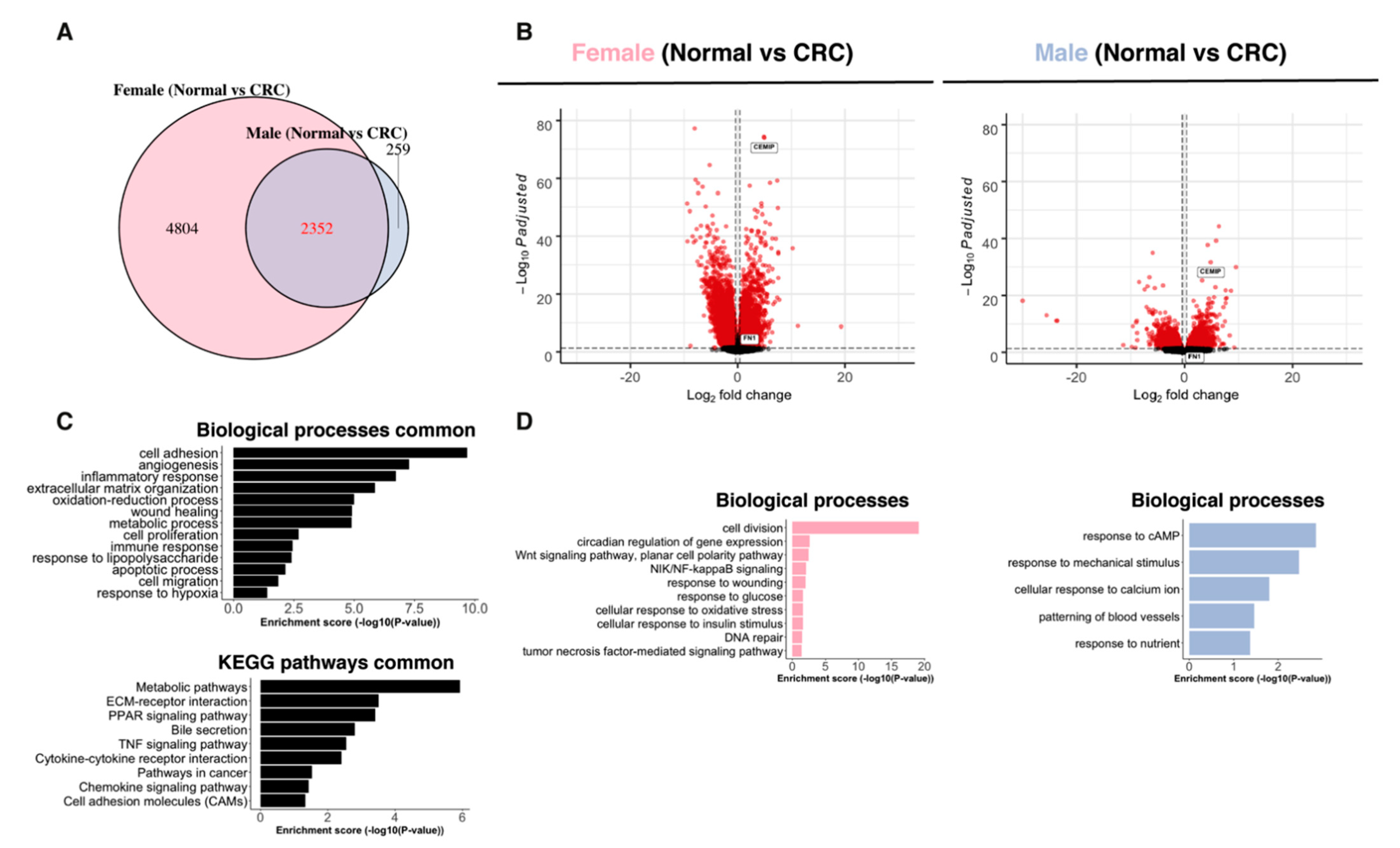 Ijms 22 01354 g002 Ijms 22 01354 g002