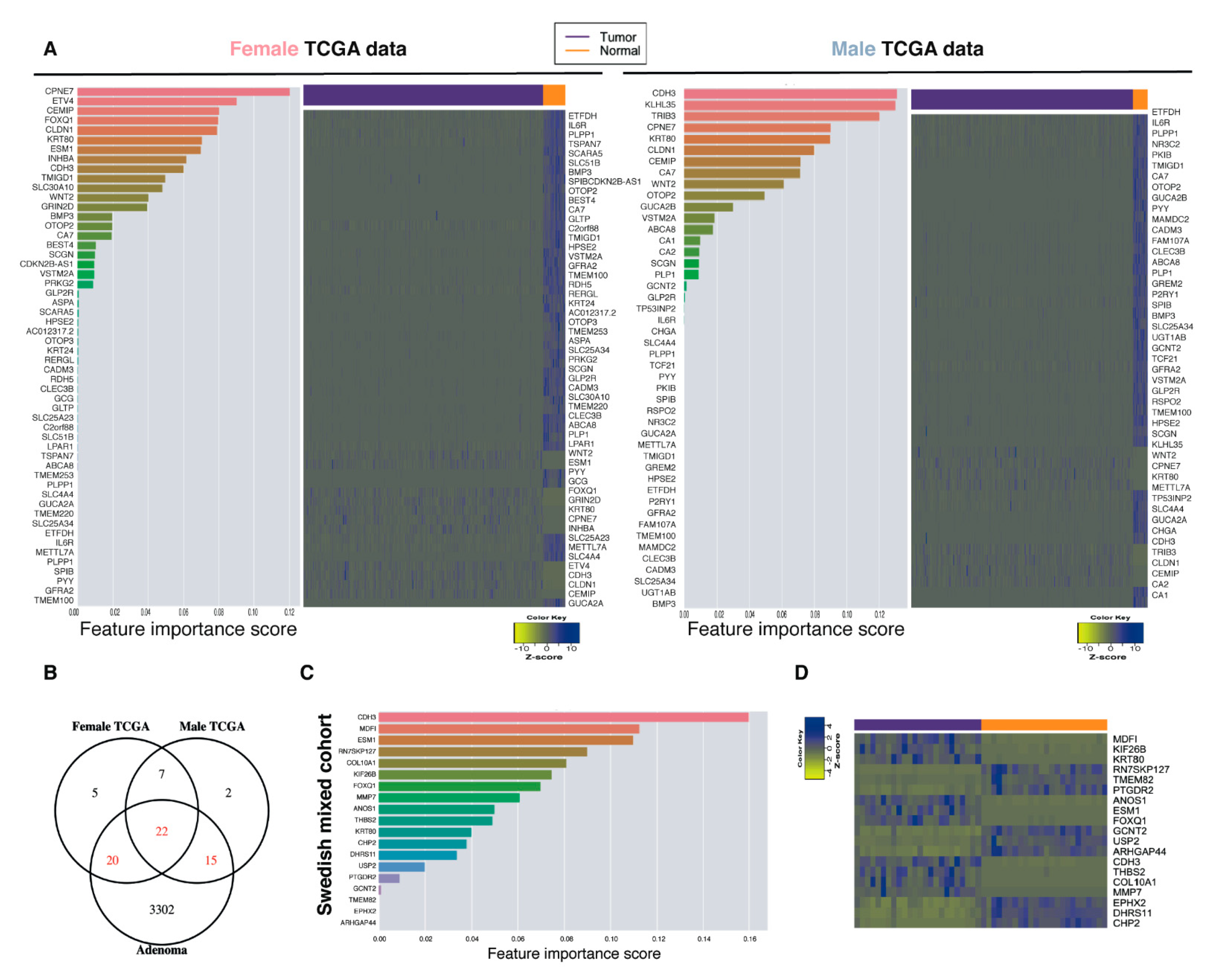 Ijms 22 01354 g004 Ijms 22 01354 g004