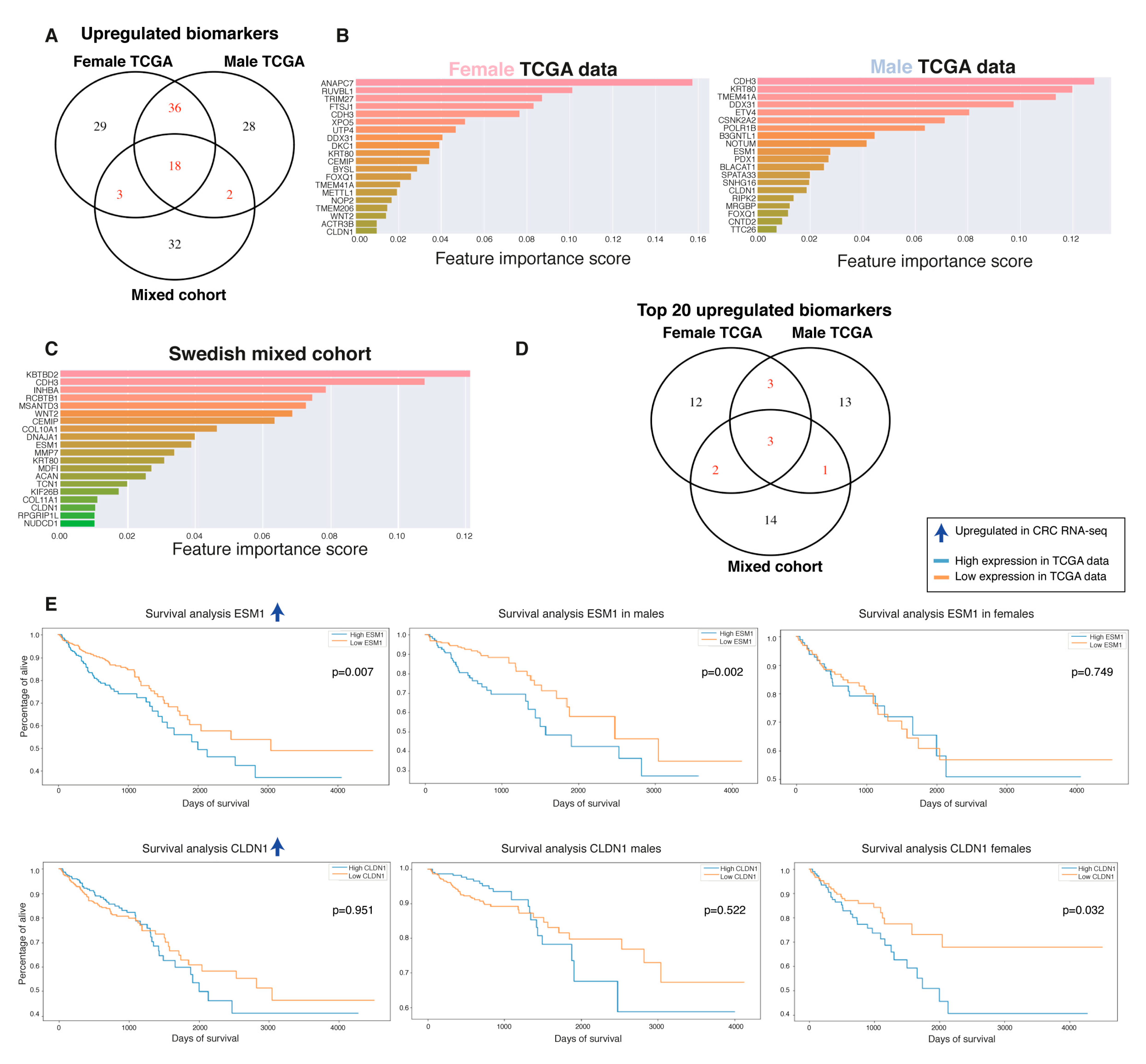 Ijms 22 01354 g005 Ijms 22 01354 g005