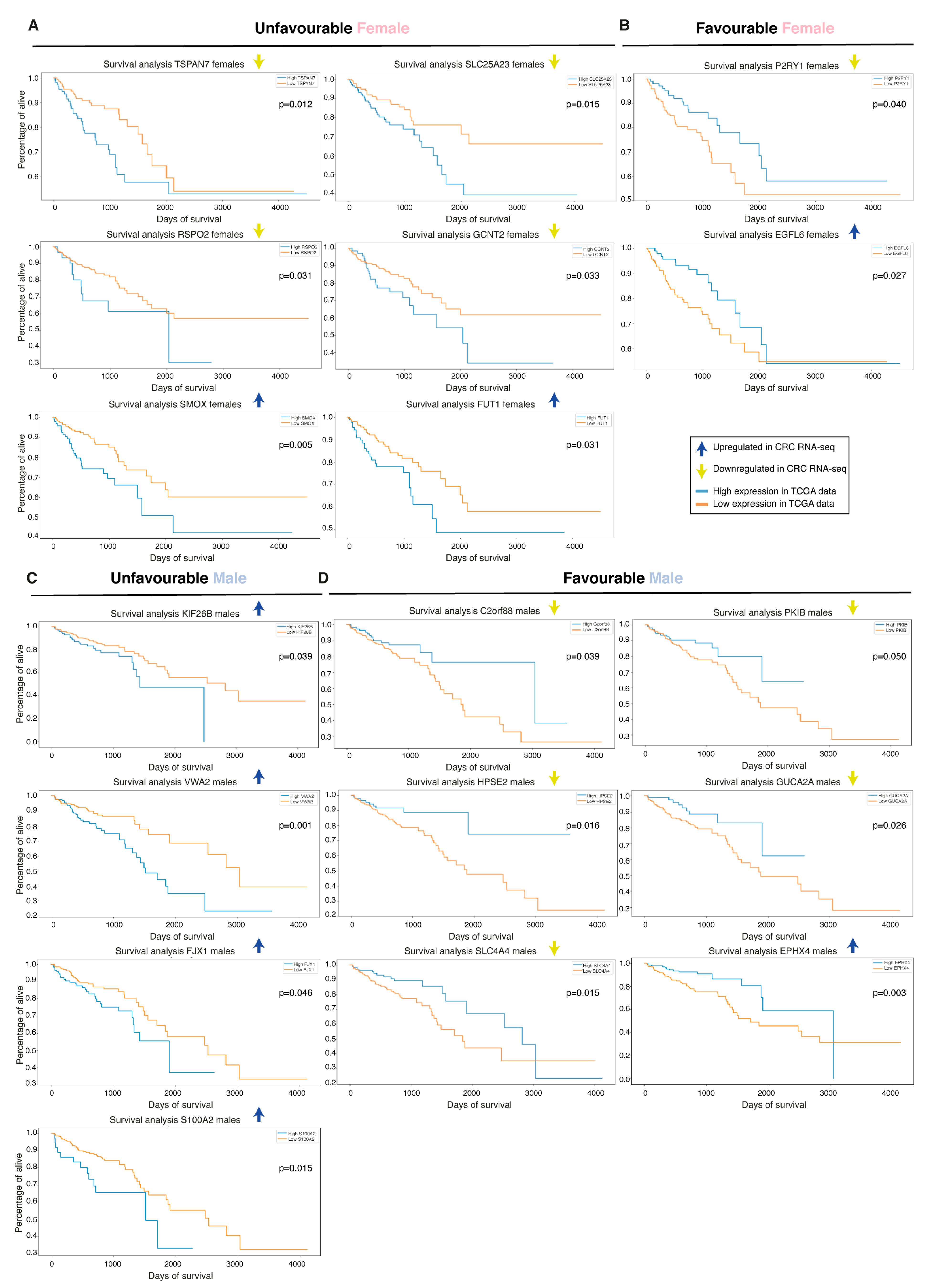 Ijms 22 01354 g006 Ijms 22 01354 g006