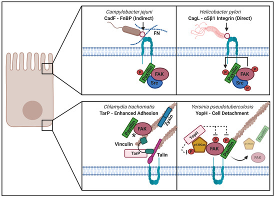 yu～to Challenges of Anti-Mesothelin CAR-T-Cell Therapy