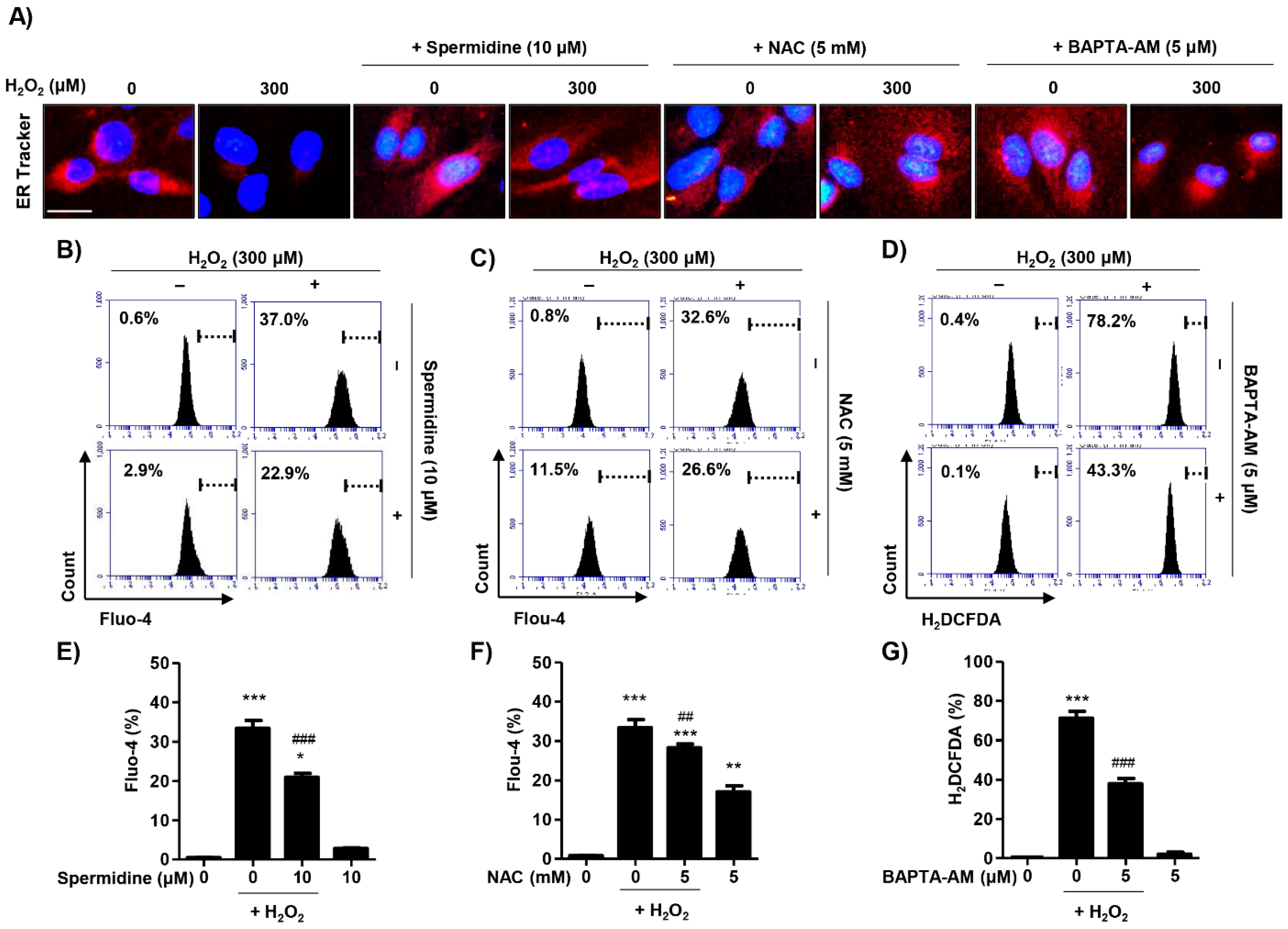 Ijms 22 01361 g005 Ijms 22 01361 g005