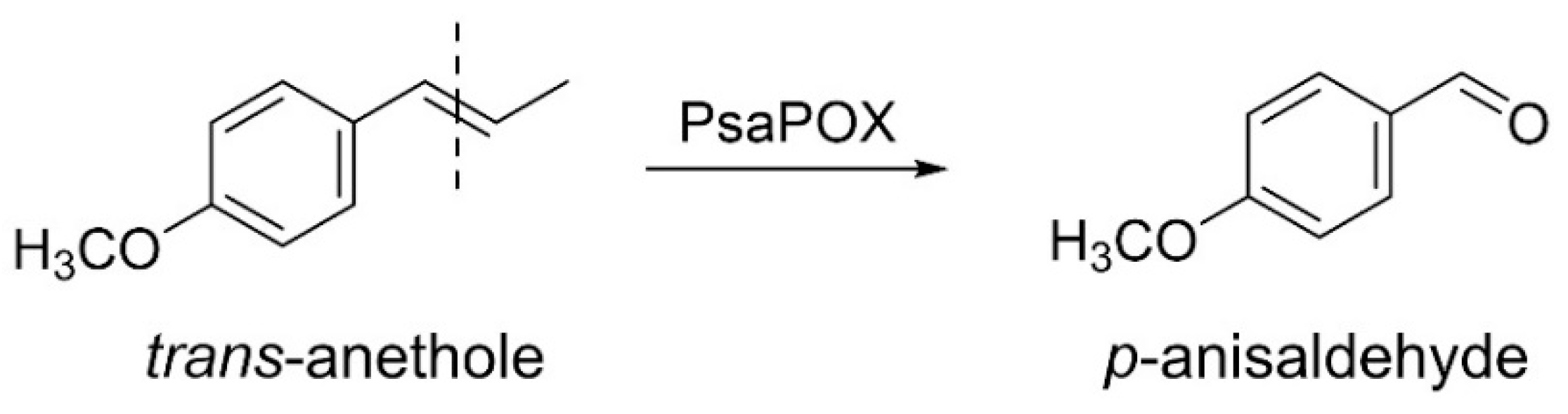 Ijms 22 01363 g001 Ijms 22 01363 g001