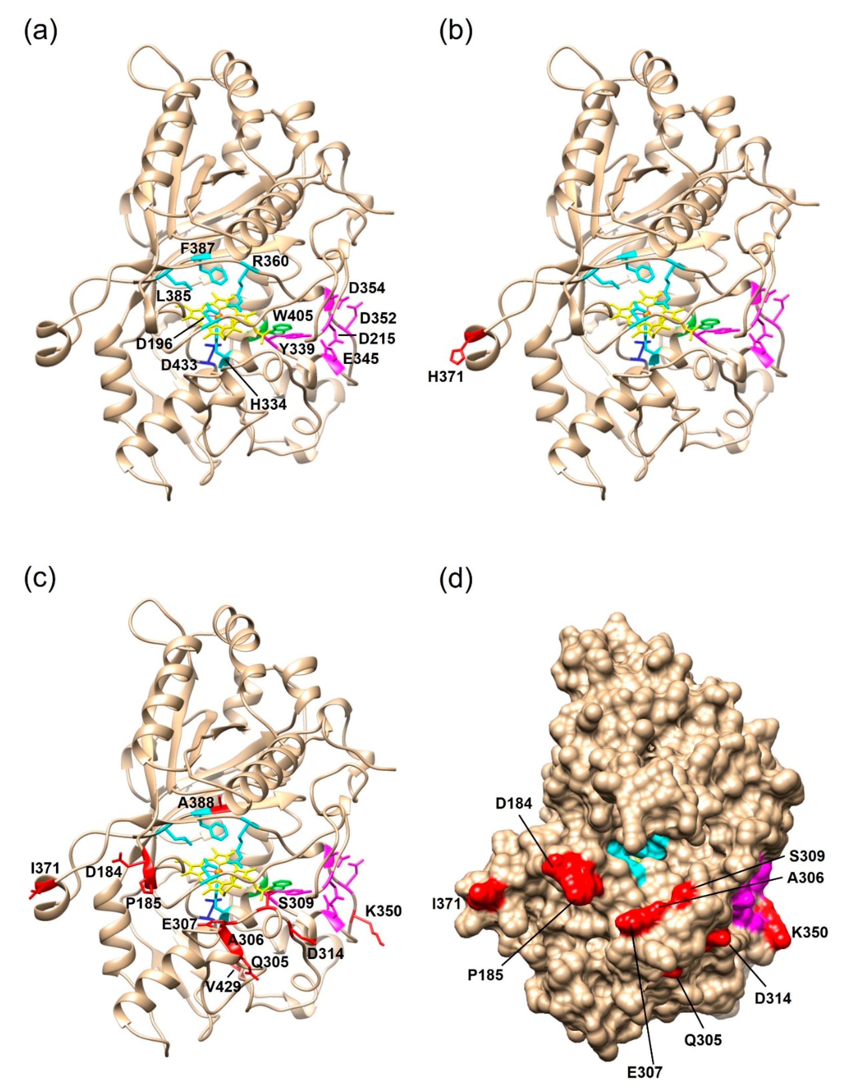 Ijms 22 01363 g007 Ijms 22 01363 g007