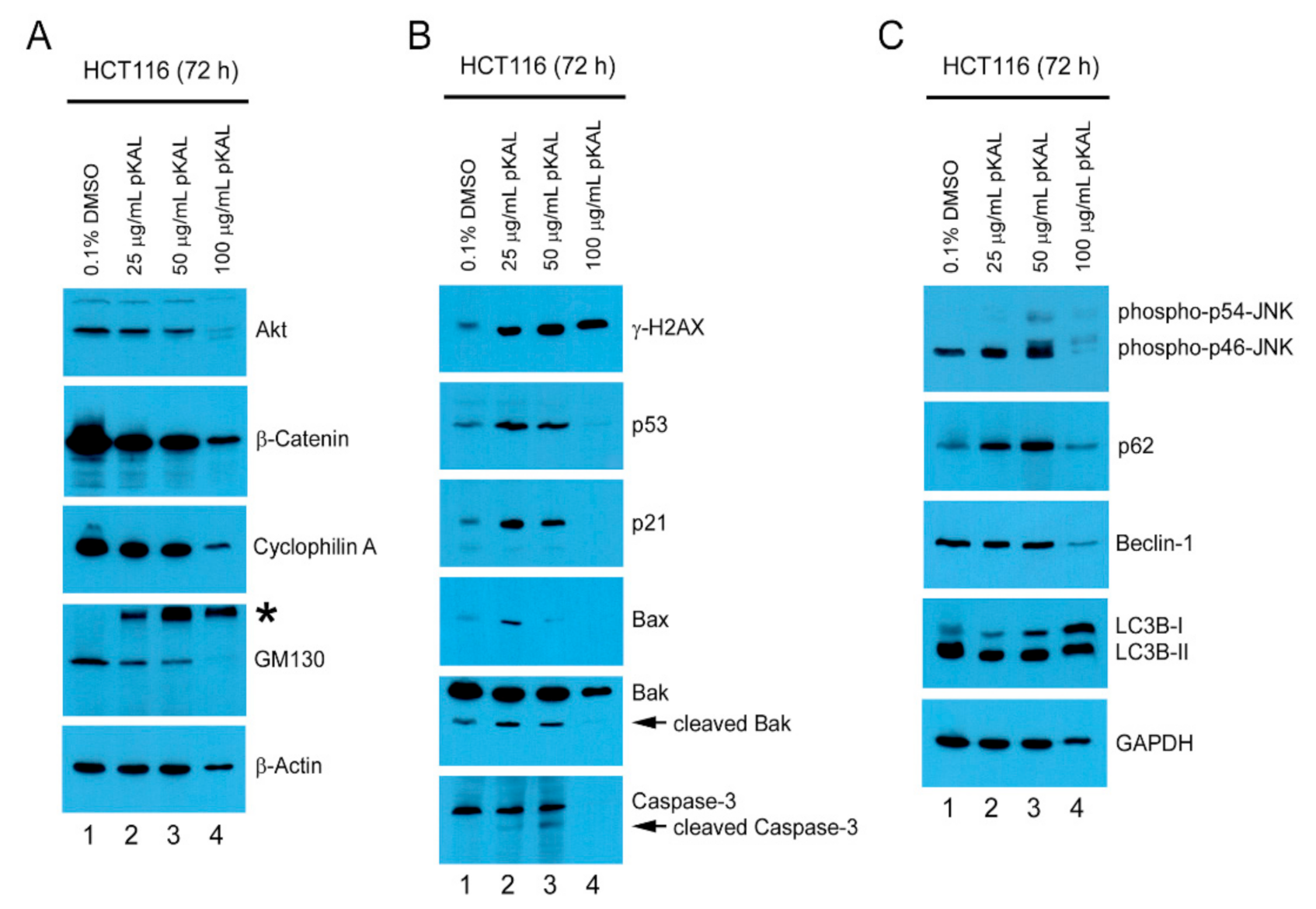 Ijms 22 01366 g004 Ijms 22 01366 g004