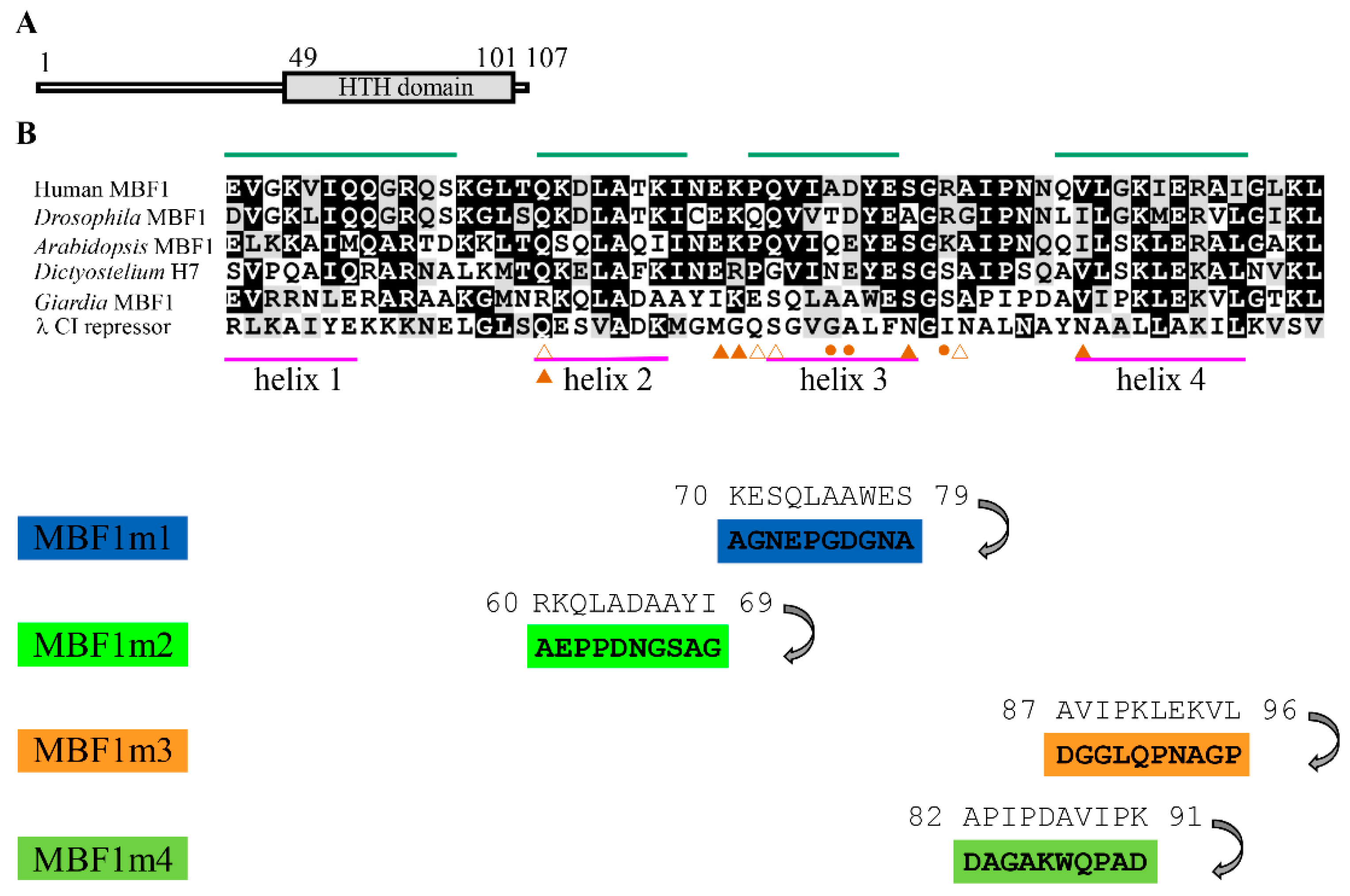 Ijms 22 01370 g001 Ijms 22 01370 g001