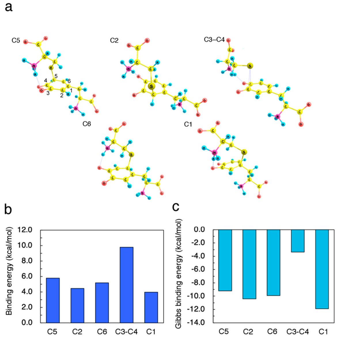 Ijms 22 01373 g002 Ijms 22 01373 g002
