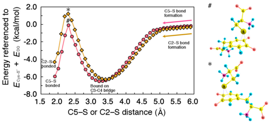 Ijms 22 01373 g005 Ijms 22 01373 g005