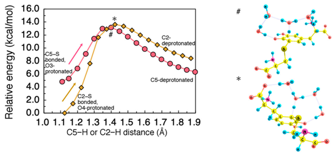 Ijms 22 01373 g007 Ijms 22 01373 g007