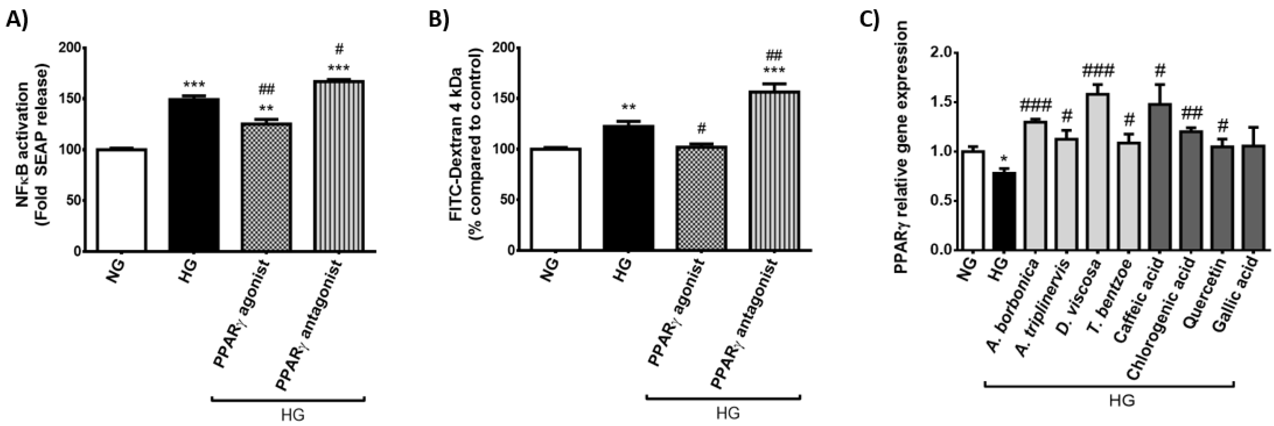 Ijms 22 01385 g007 Ijms 22 01385 g007