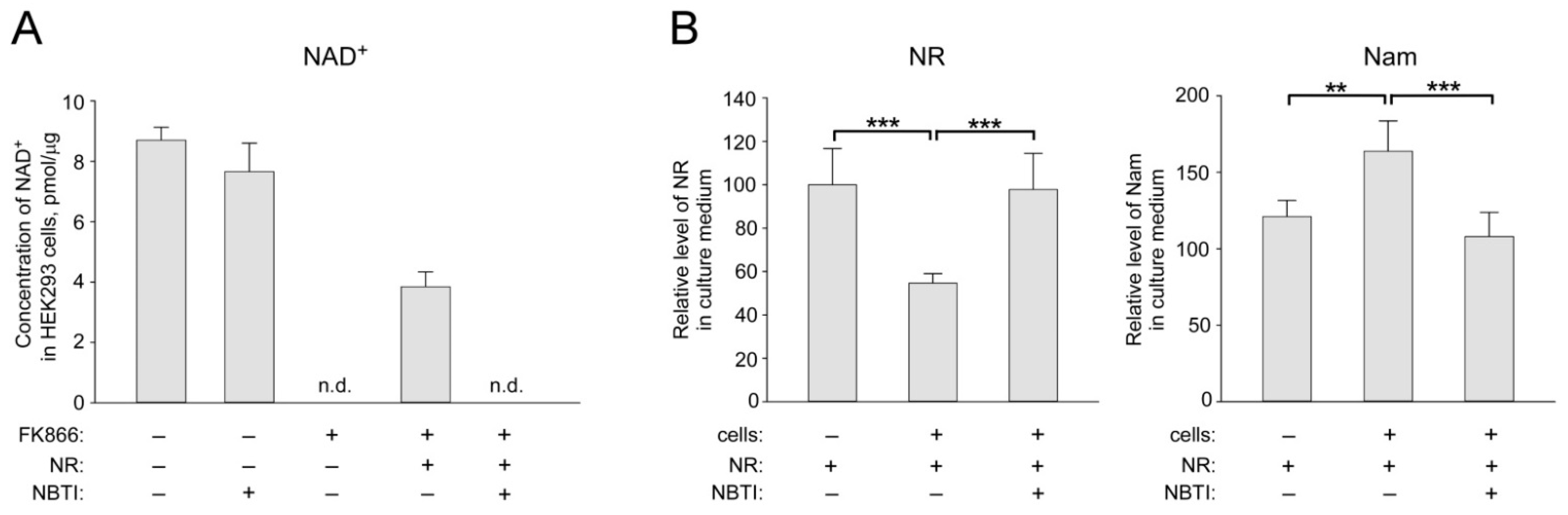 Ijms 22 01391 g001 Ijms 22 01391 g001