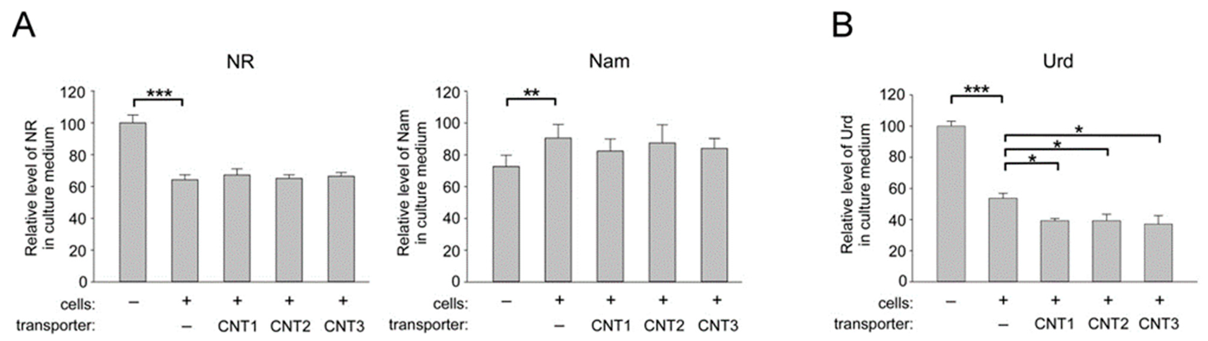 Ijms 22 01391 g003 Ijms 22 01391 g003