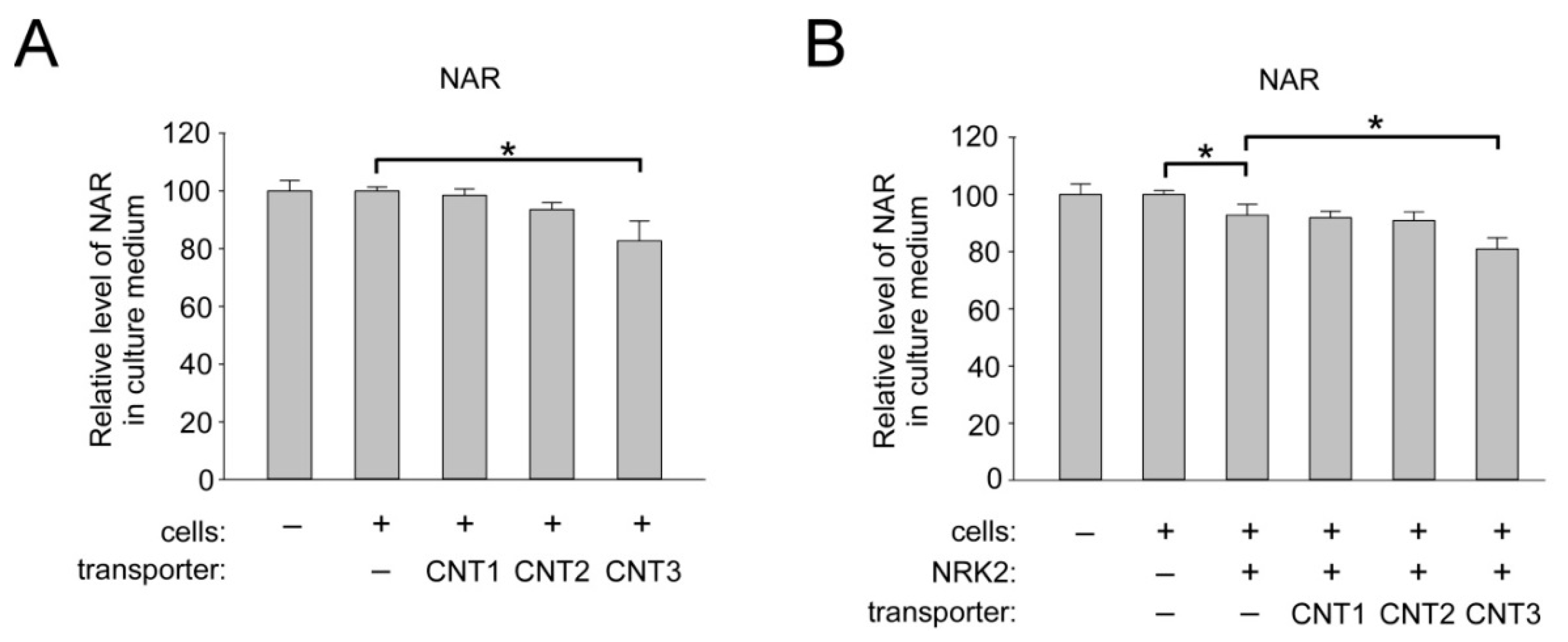 Ijms 22 01391 g005 Ijms 22 01391 g005