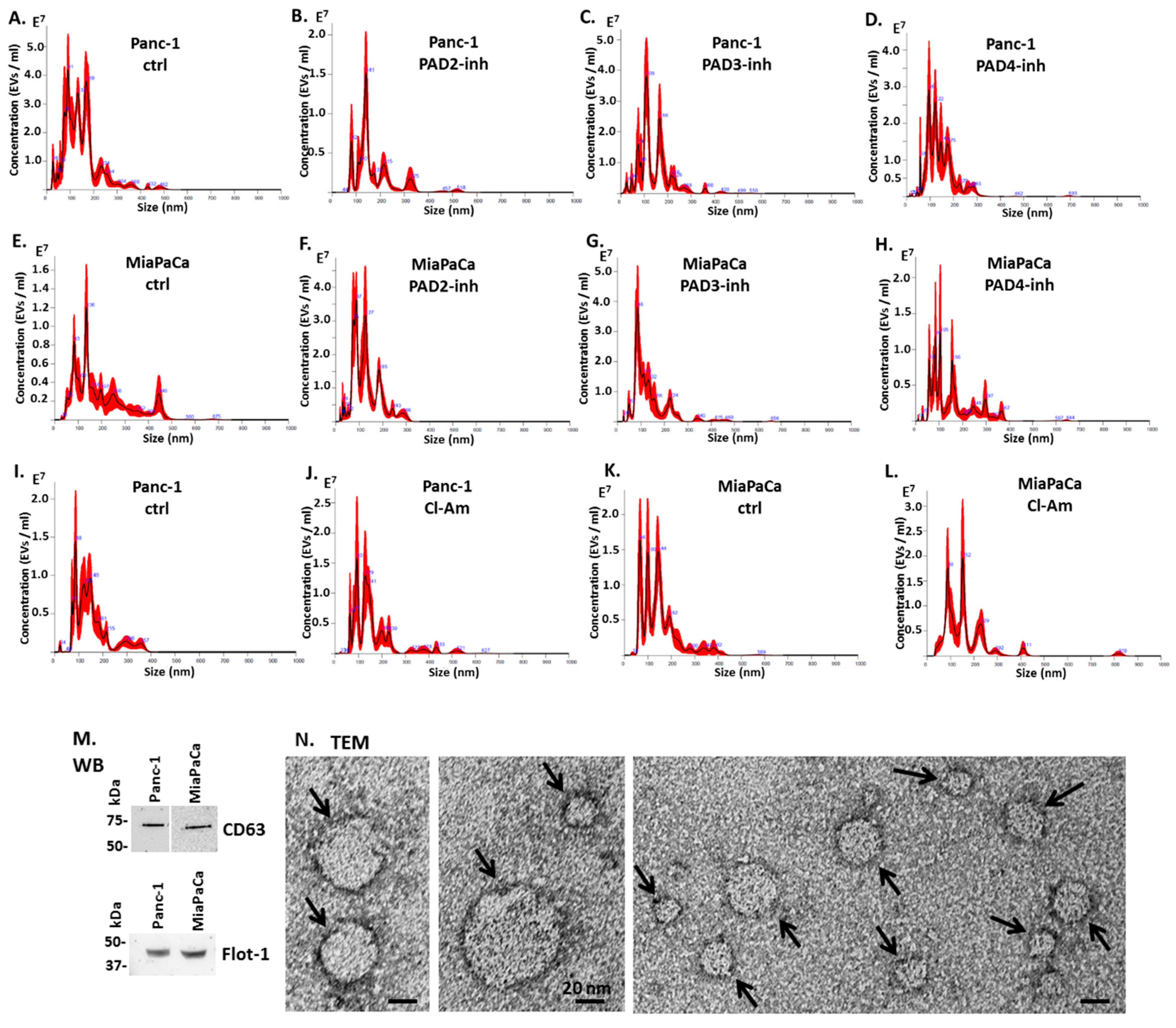 Ijms 22 01396 g004