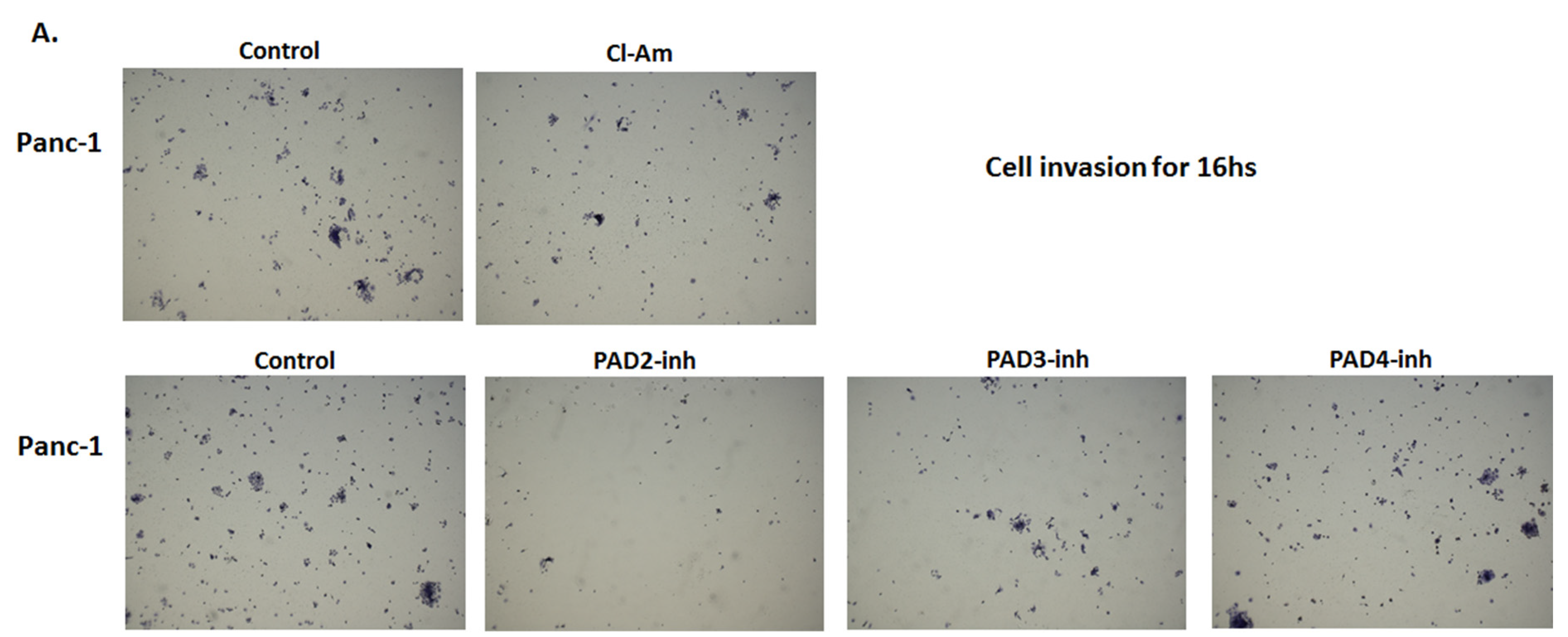 Ijms 22 01396 g011a