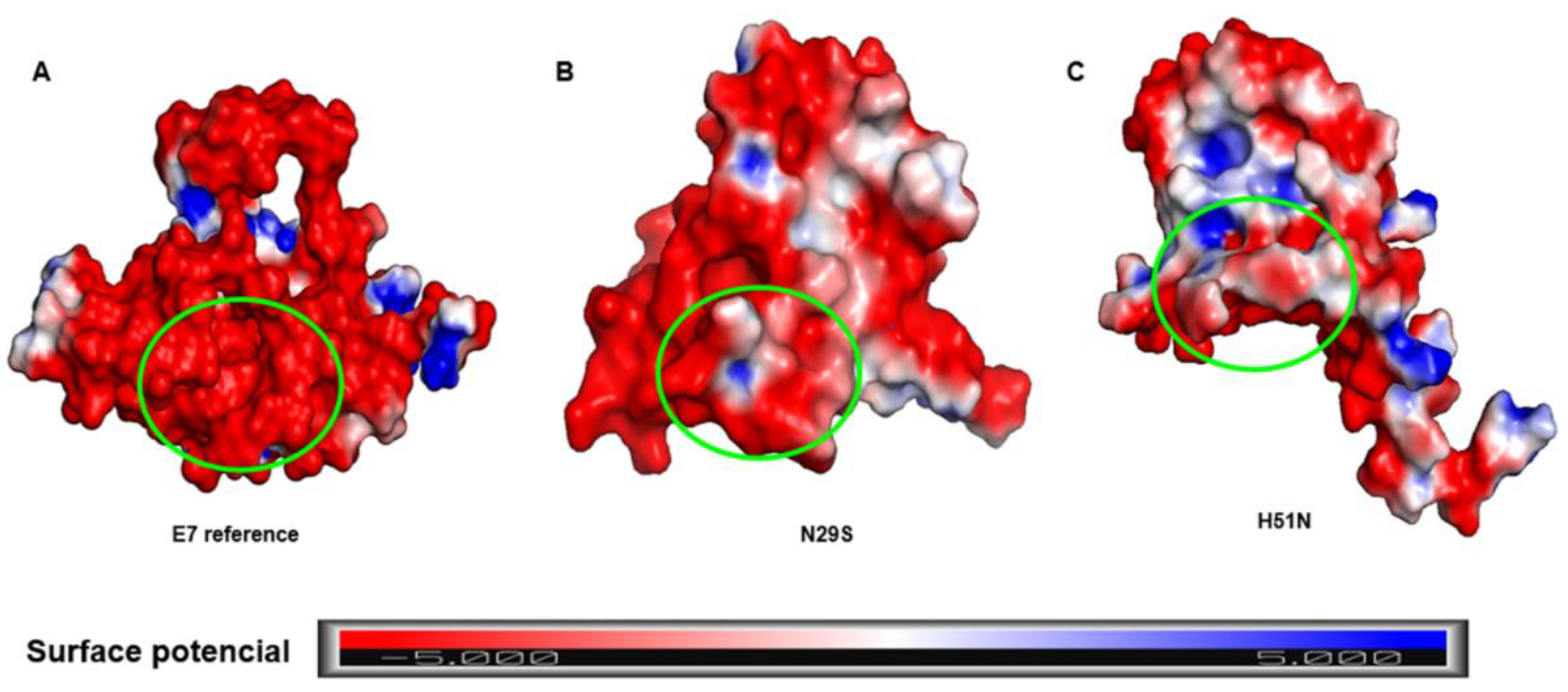 Ijms 22 01400 g005 Ijms 22 01400 g005