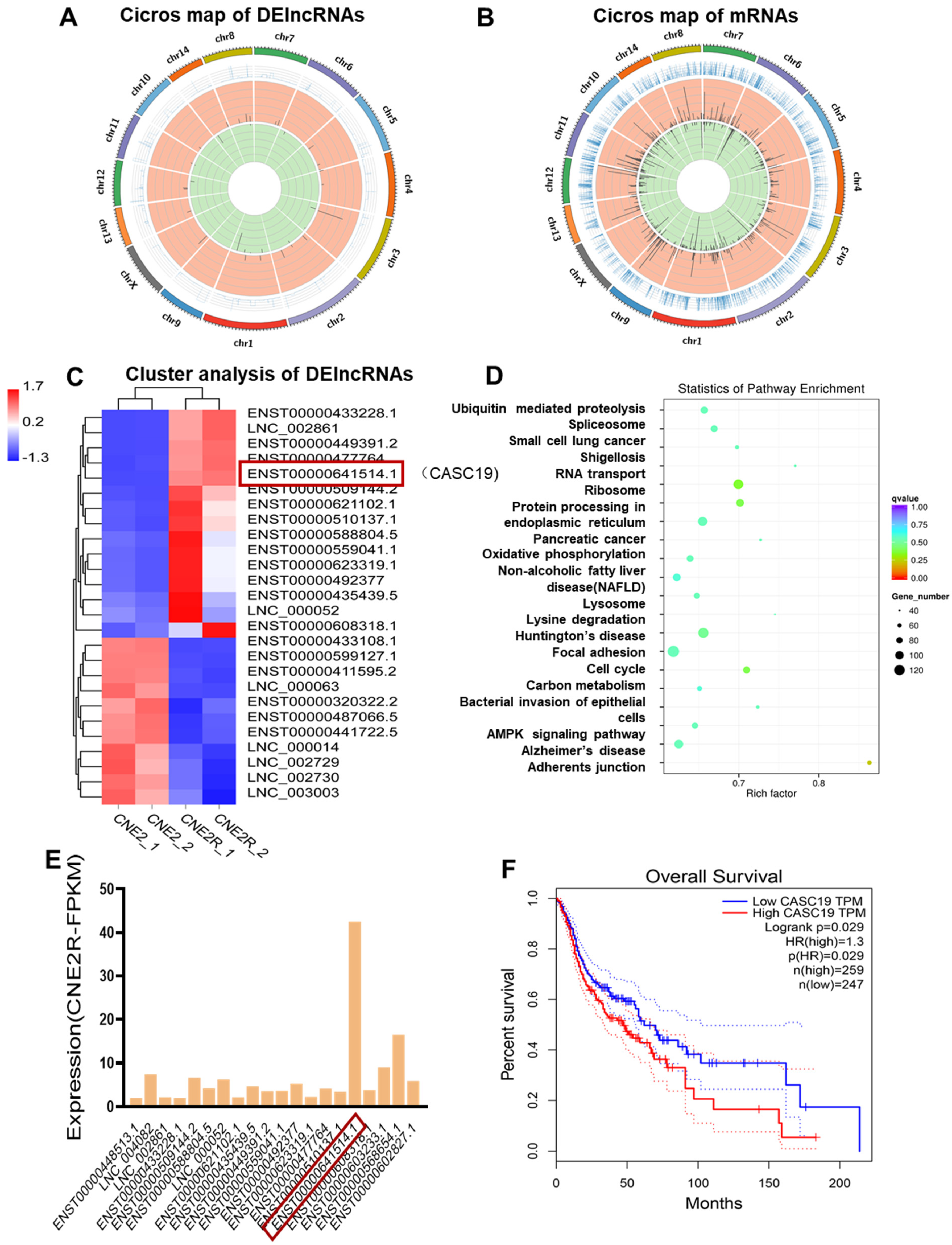 Ijms 22 01407 g002 Ijms 22 01407 g002