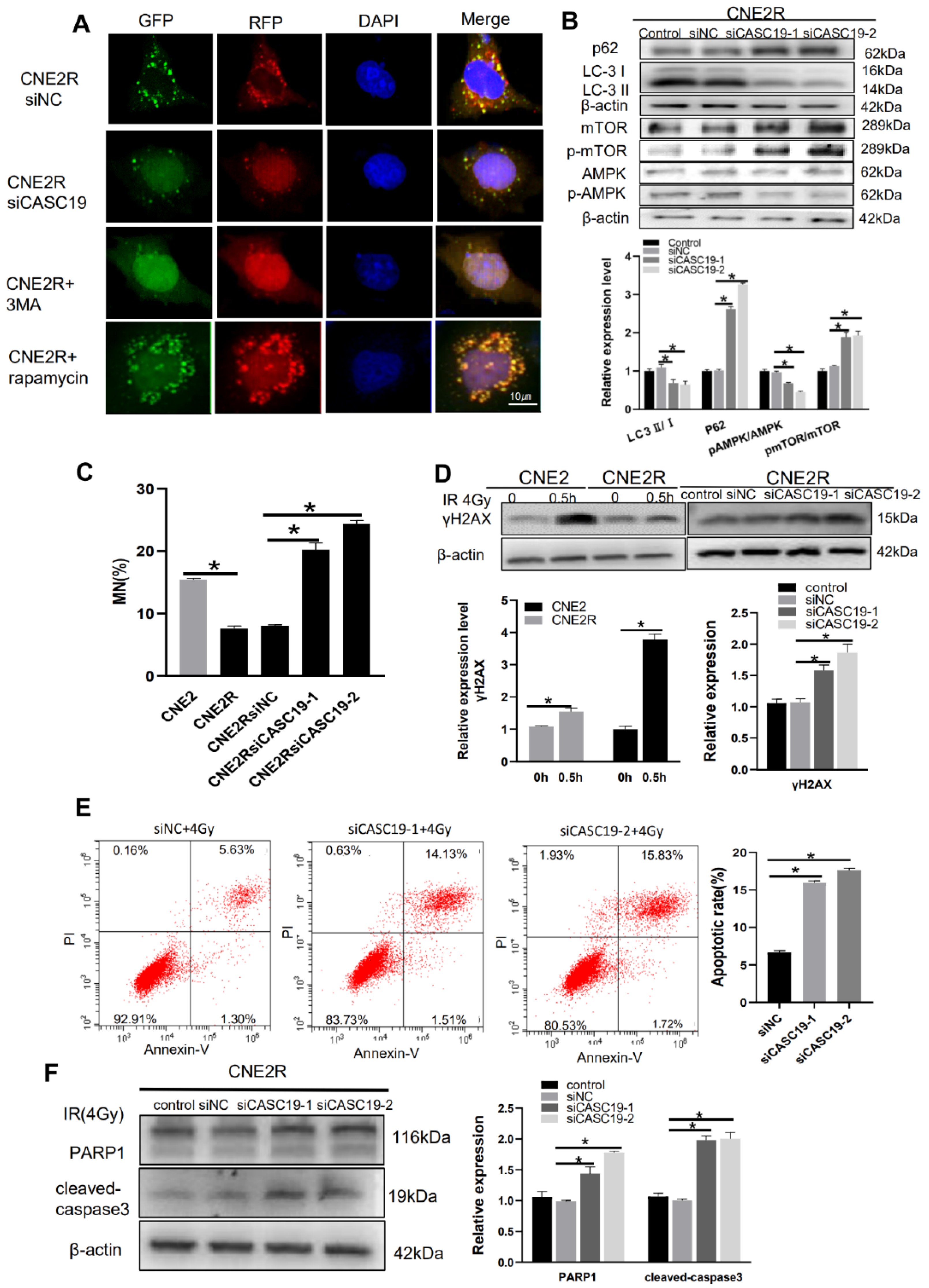 Ijms 22 01407 g006 Ijms 22 01407 g006