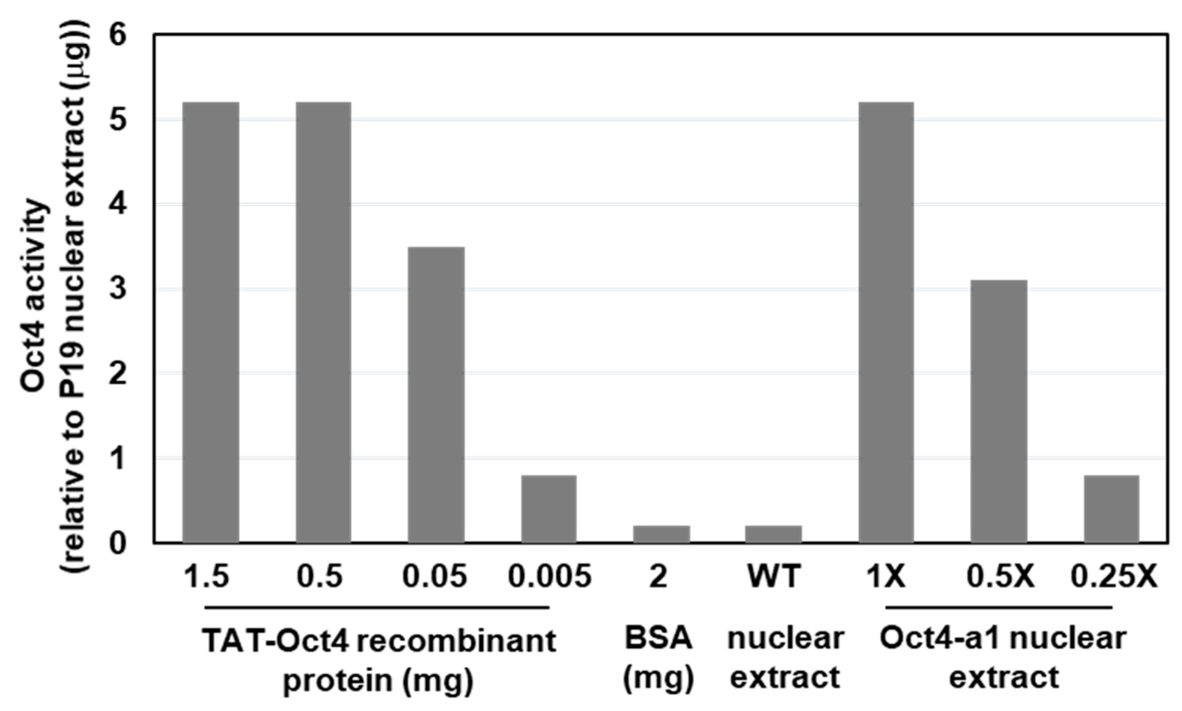 Ijms 22 01409 g005 Ijms 22 01409 g005