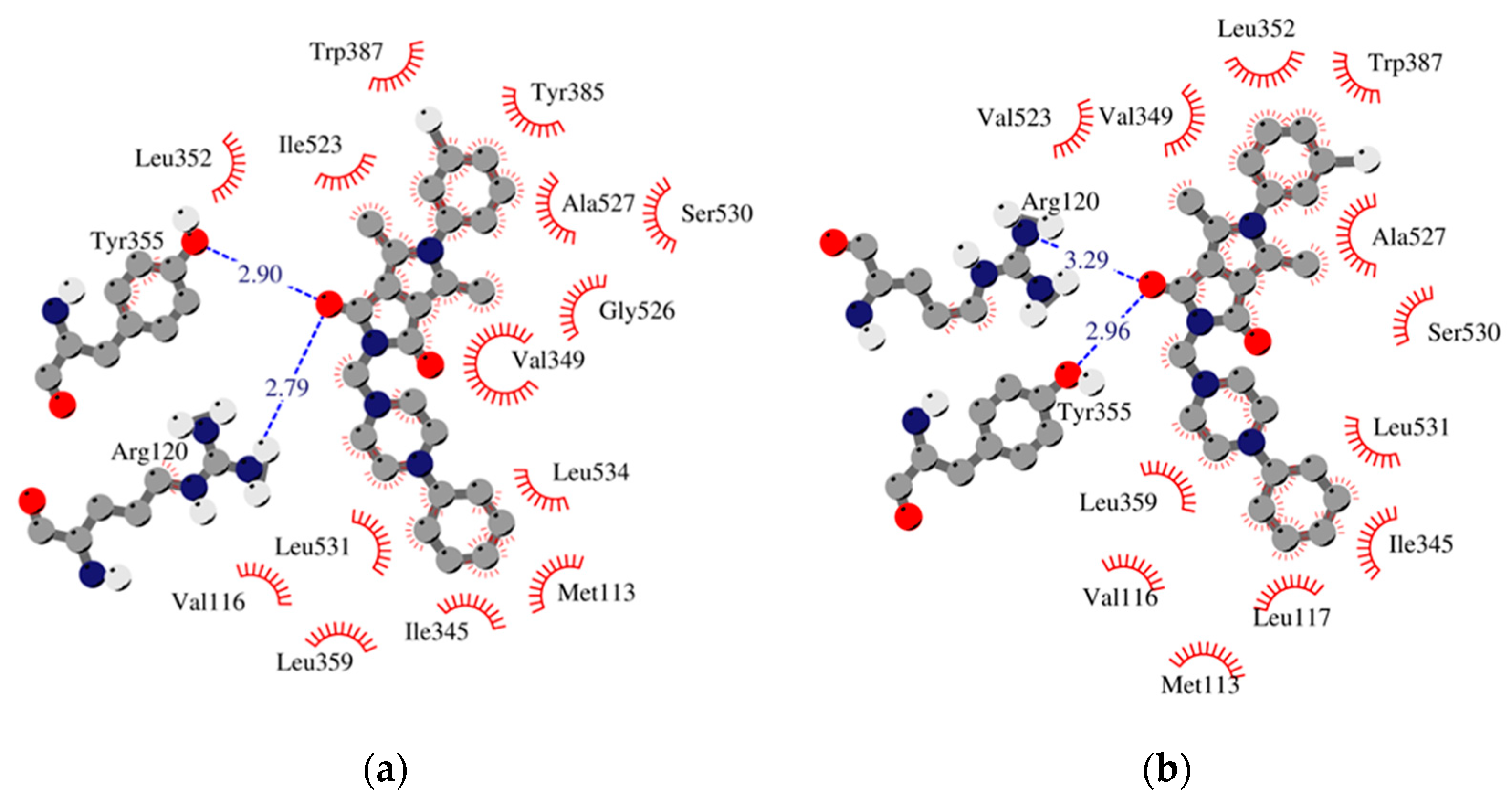Ijms 22 01410 g004 Ijms 22 01410 g004