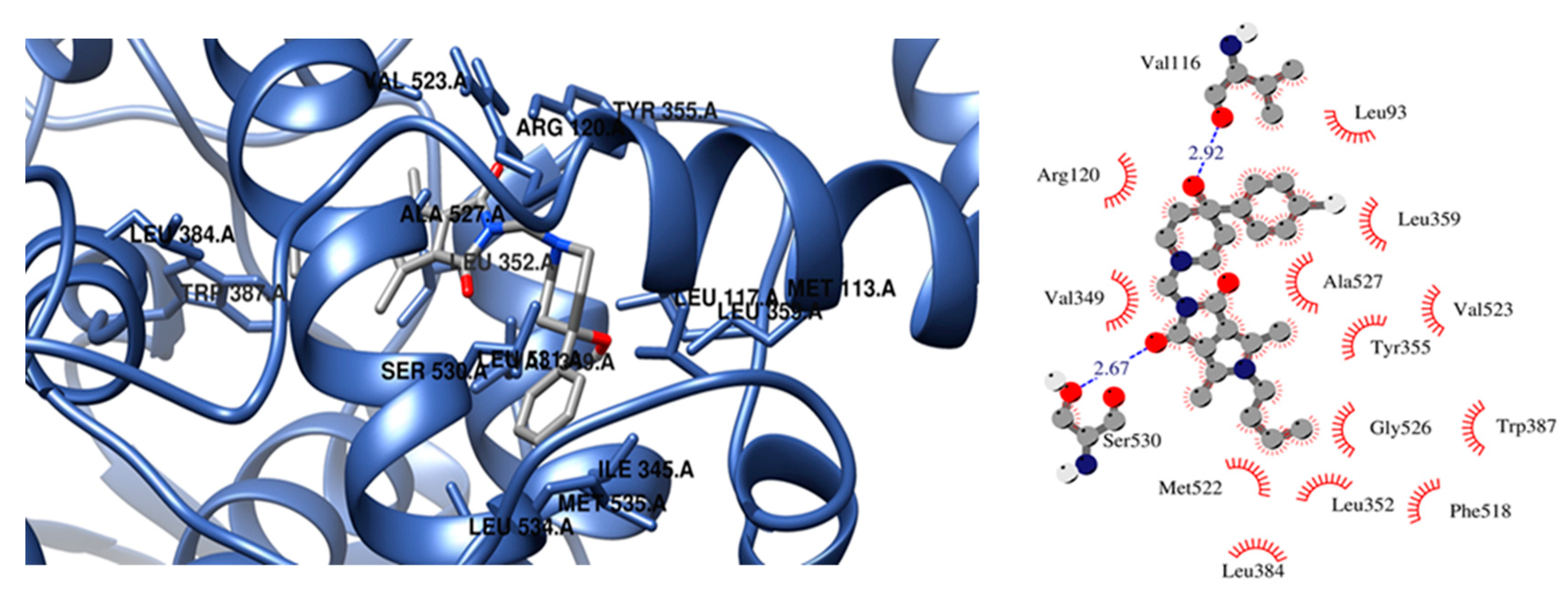 Ijms 22 01410 g006 Ijms 22 01410 g006