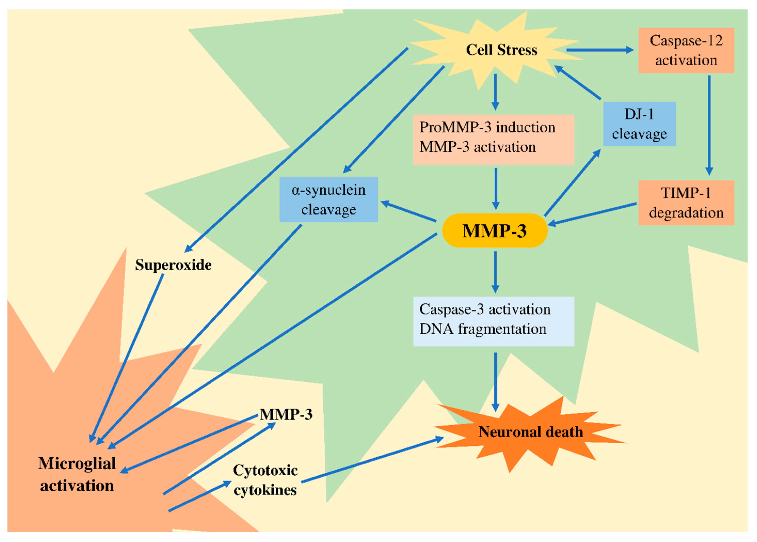 Ijms 22 01413 g003 Ijms 22 01413 g003