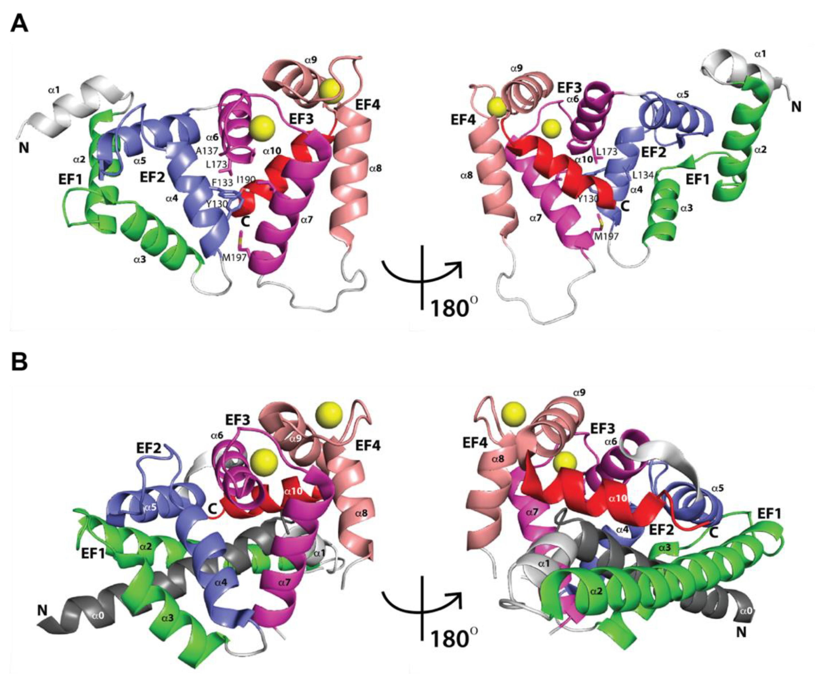 Ijms 22 01419 g003 Ijms 22 01419 g003