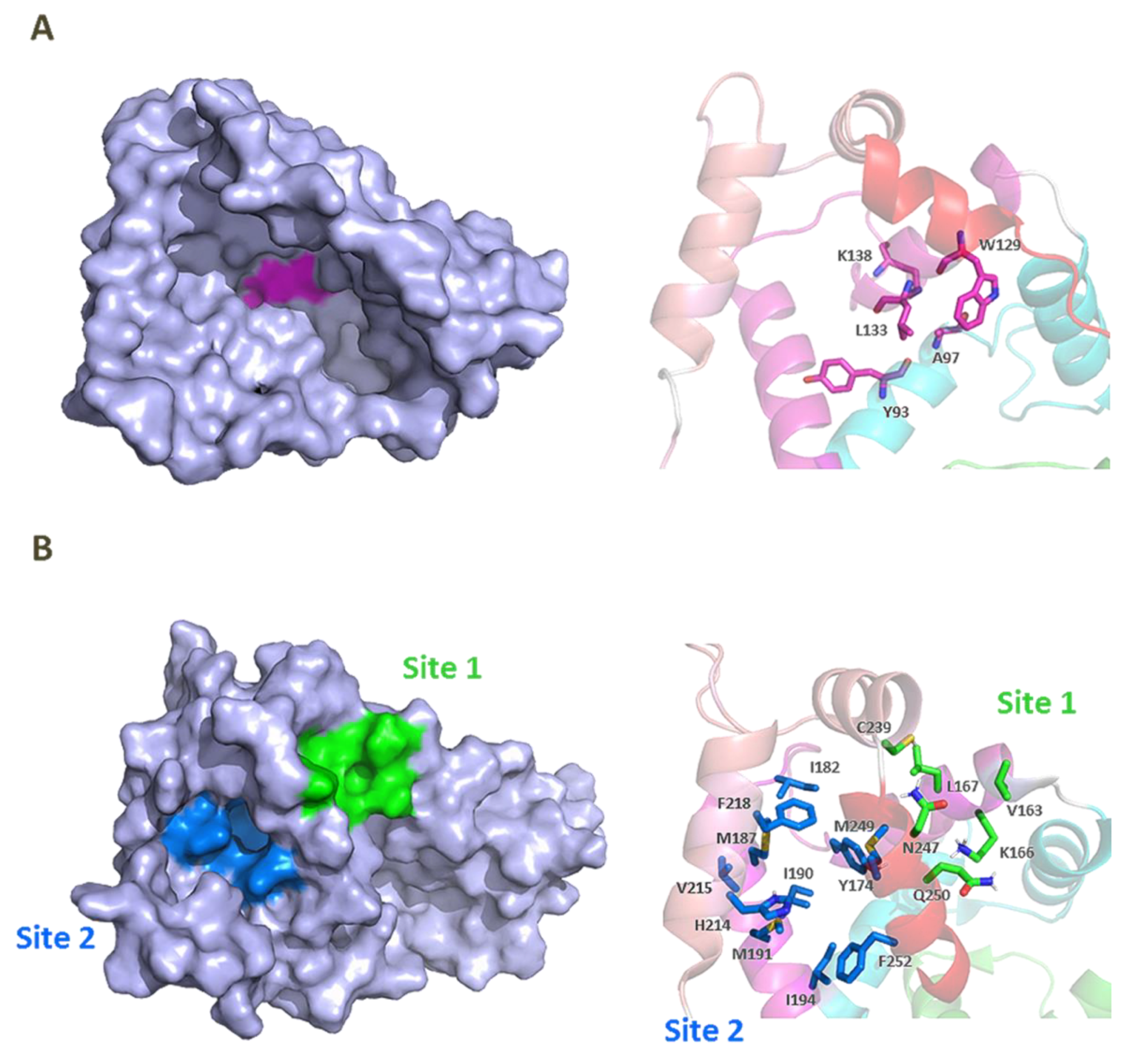 Ijms 22 01419 g006 Ijms 22 01419 g006
