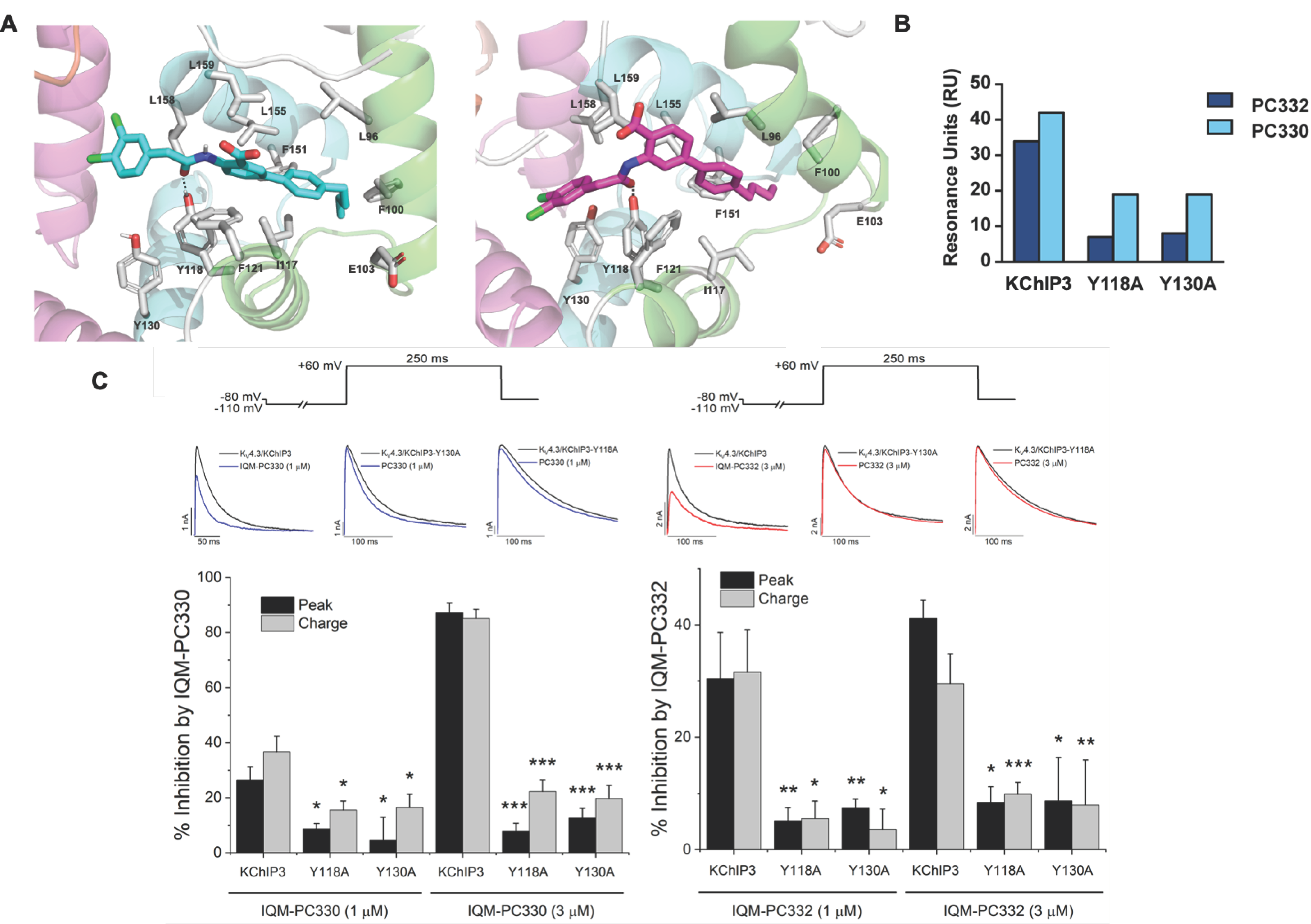 Ijms 22 01419 g007 Ijms 22 01419 g007